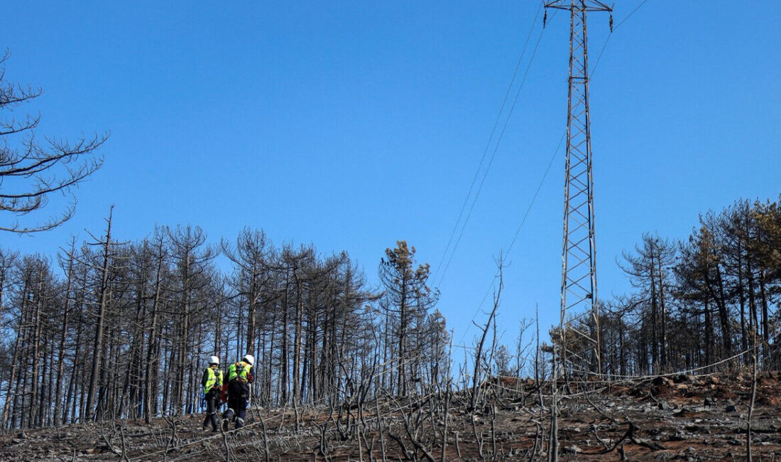 Son günlerde ülke genelinde pek çok farklı noktada gerçekleşen orman