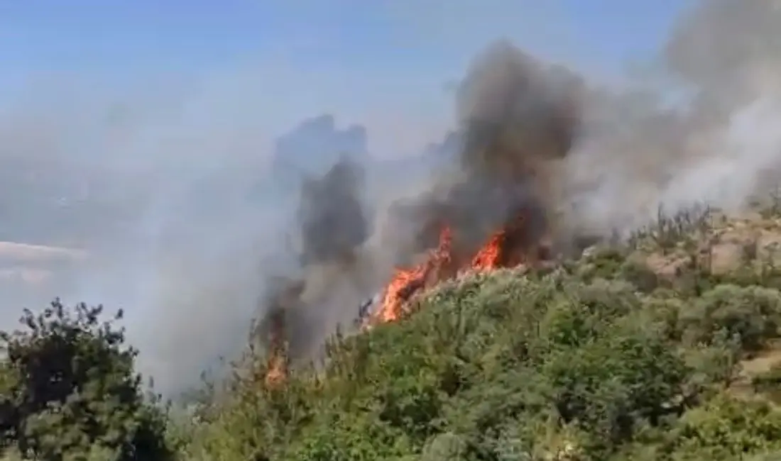 Bursa Osmangazi'de Demirtaş Viyadüğü yakınlarında çıkan orman yangını, sıcak hava