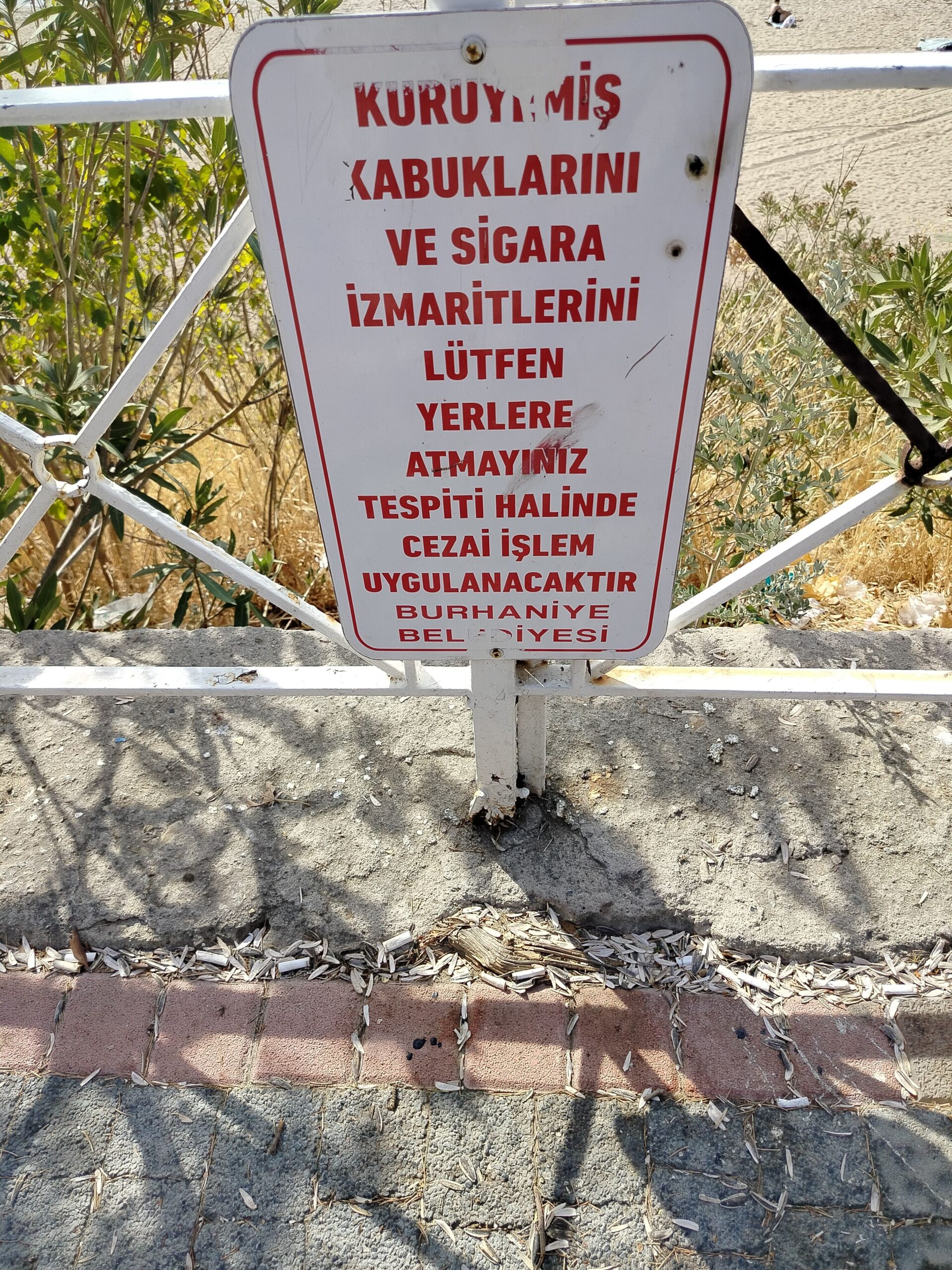 1 Ören Deniz Kenarı