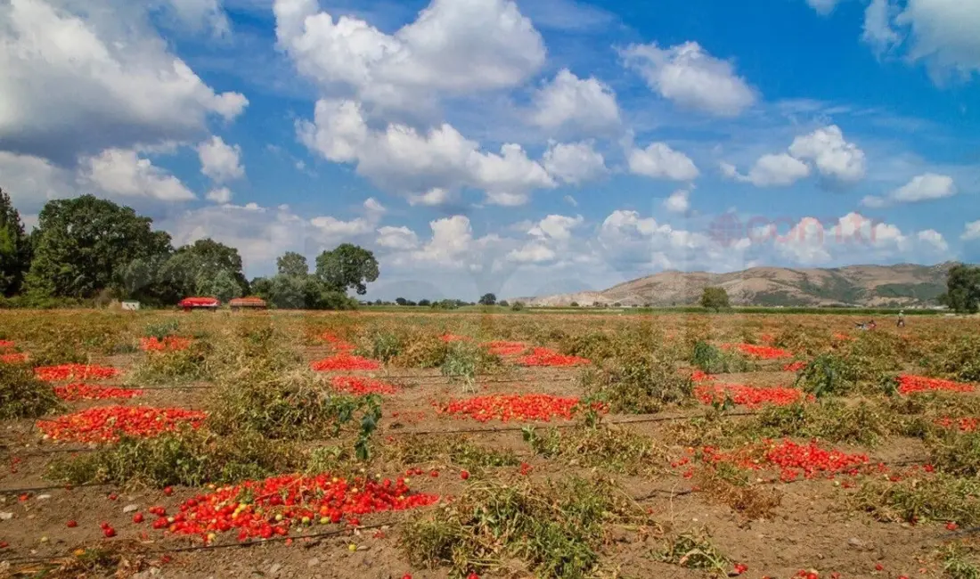 Güllüce Mahallesi’nde ova koruma alanı içinde kalan arazilere açılan dava
