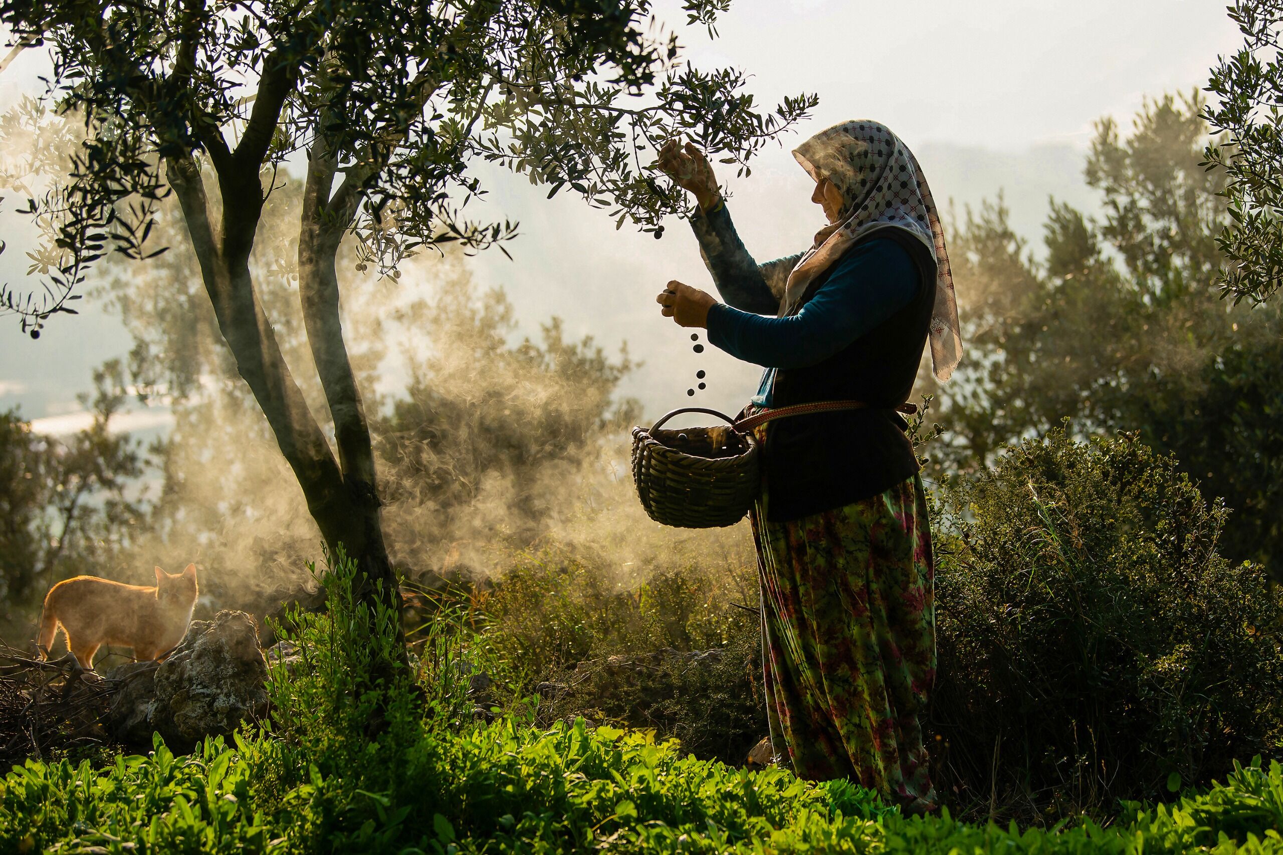 1Ba0C922 Ed2D 4C5E 966C A590534B2631 6