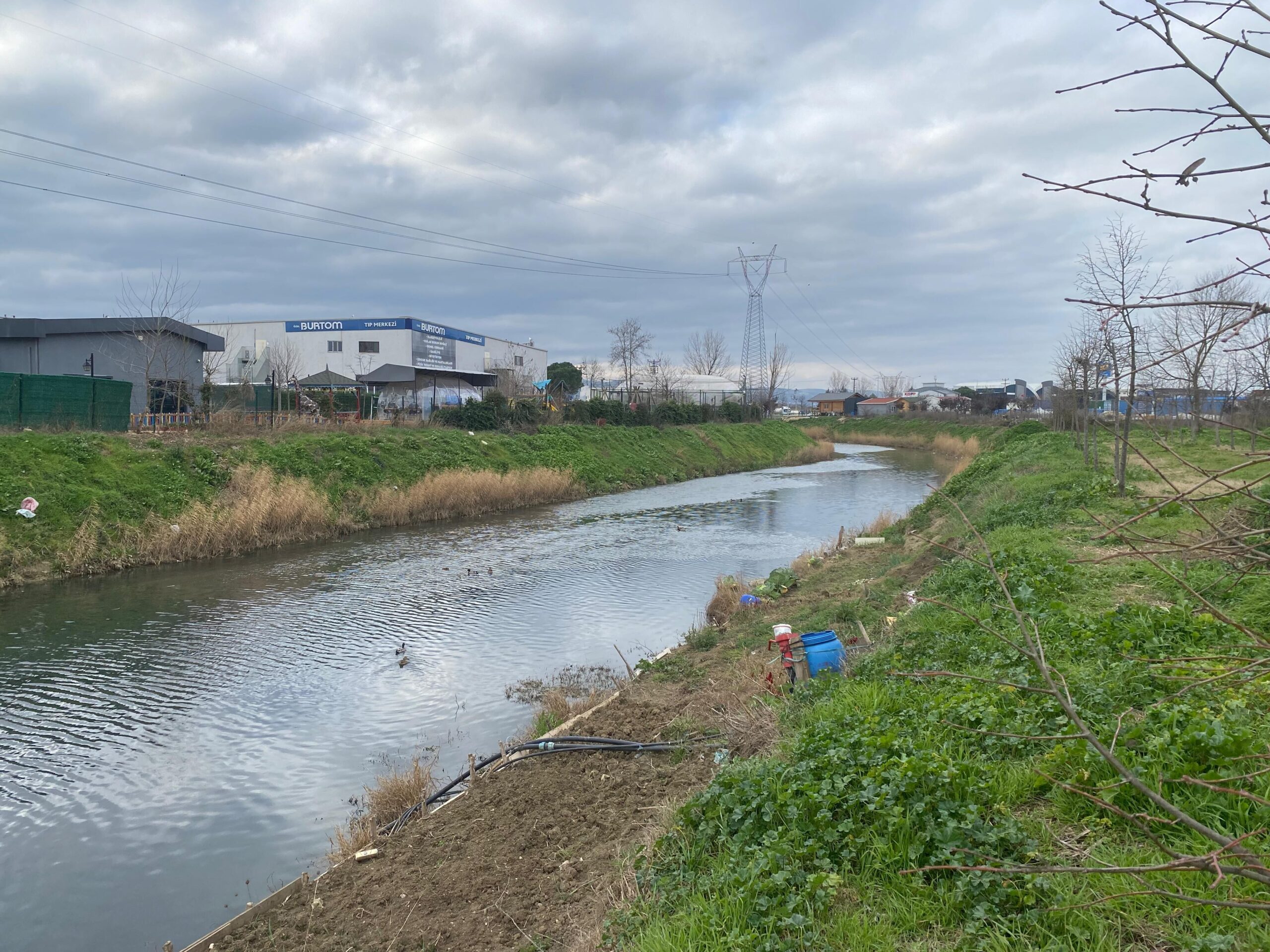 35155 M T Y3 Y T Mw N D 4