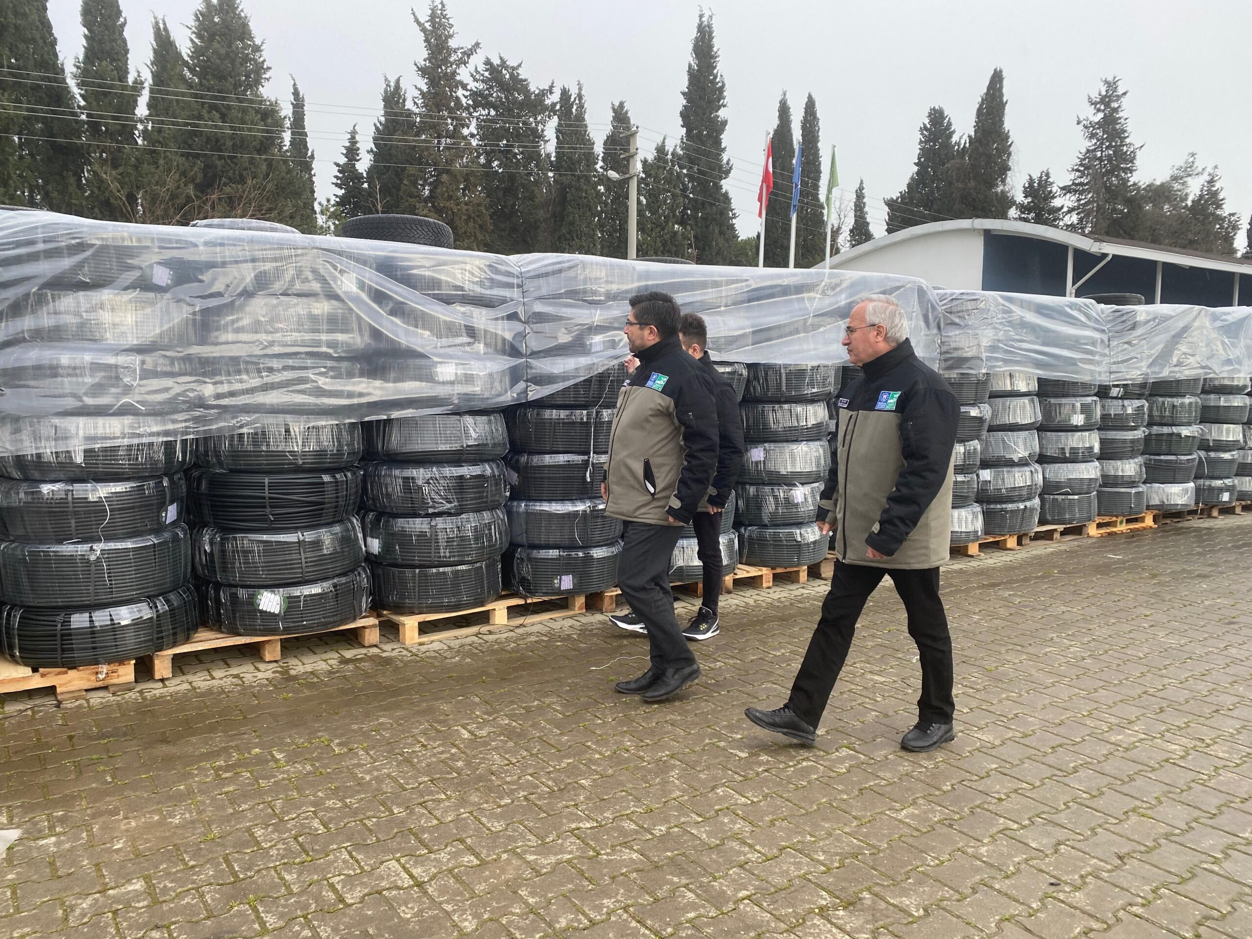 35191 M T Y3 Y W I2 N T 3