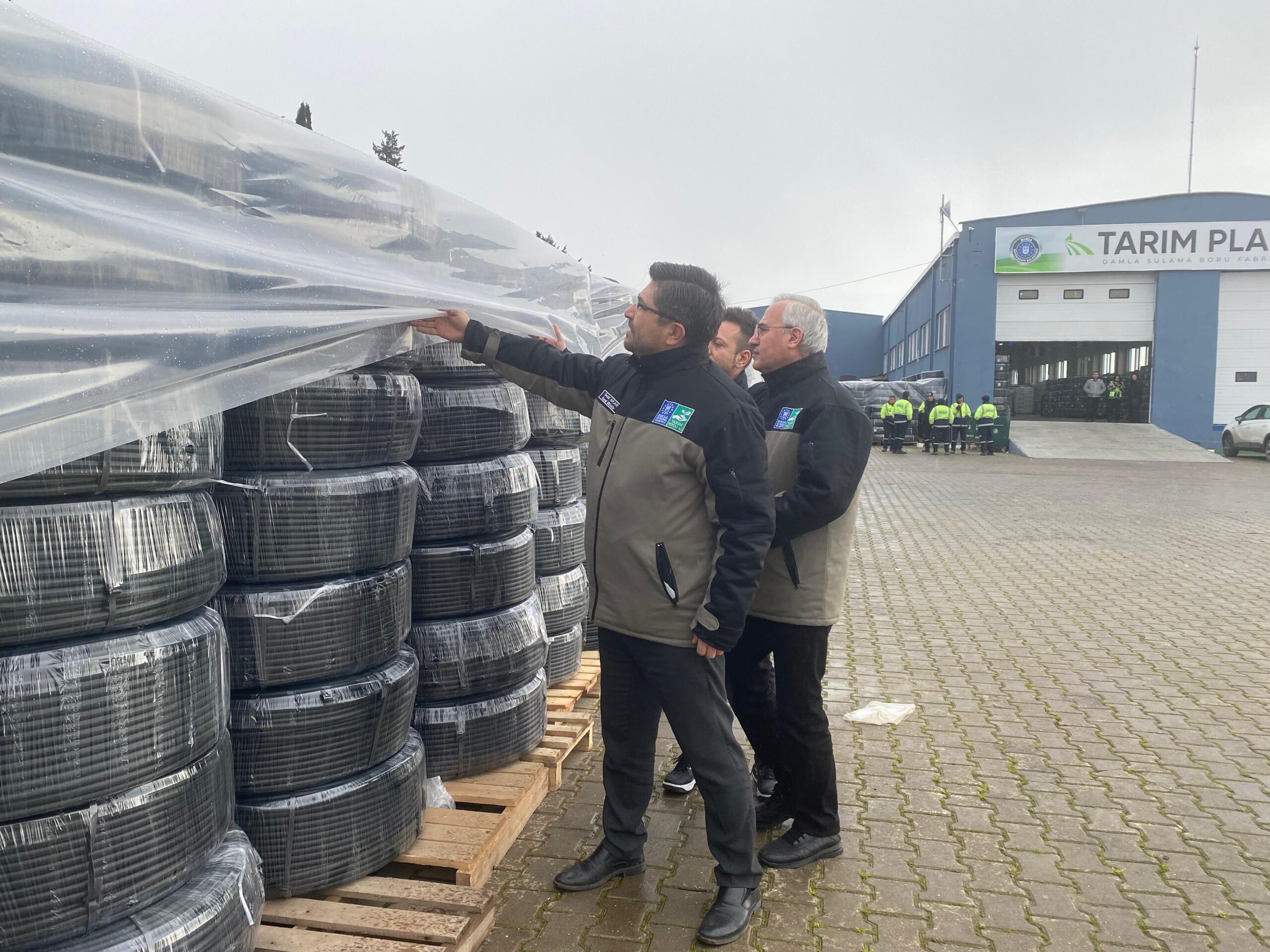 35191 M T Y3 Y W I2 N T