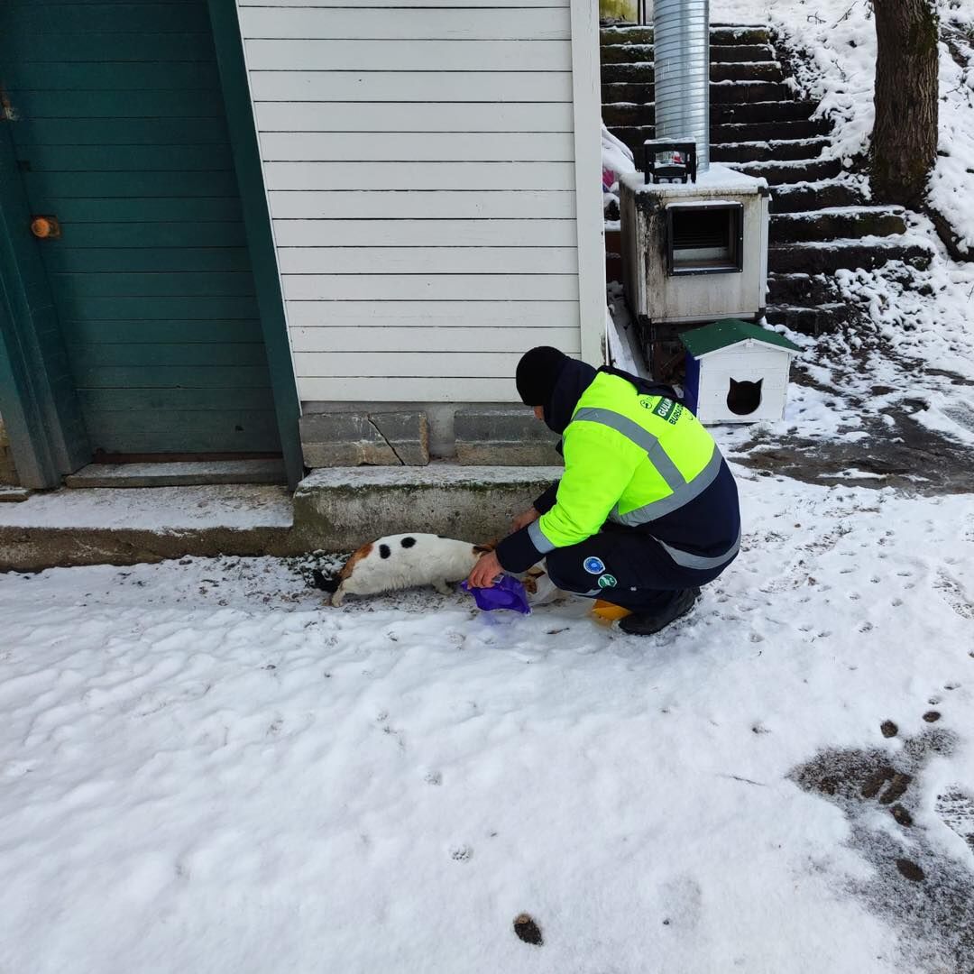 35234 M T Y3 Yjg3 Mz 1