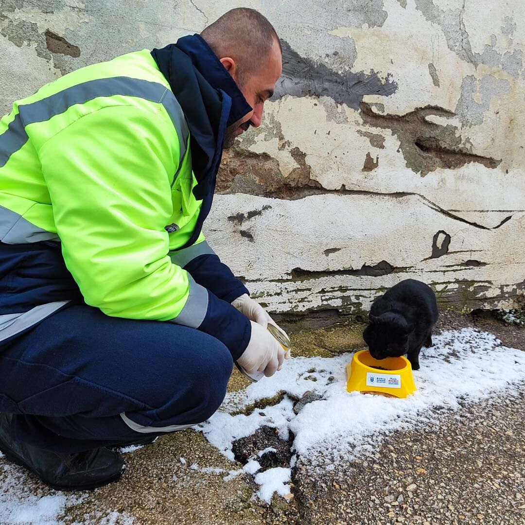 35234 M T Y3 Yjg3 Mz 2