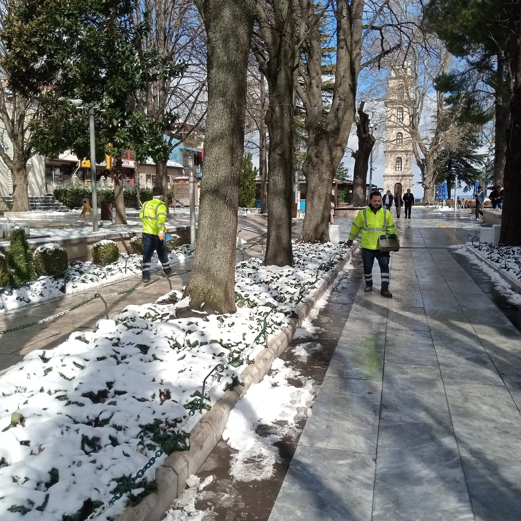 35239 M T Y3 Yjlh Nm 13