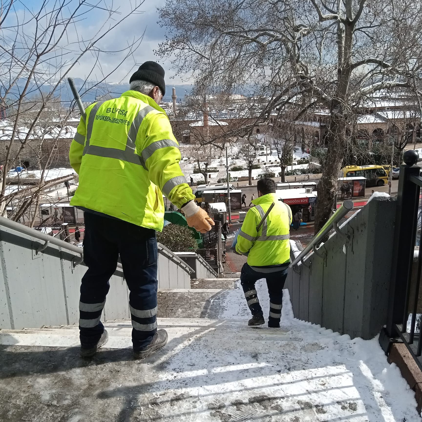 35239 M T Y3 Yjlh Nm 15