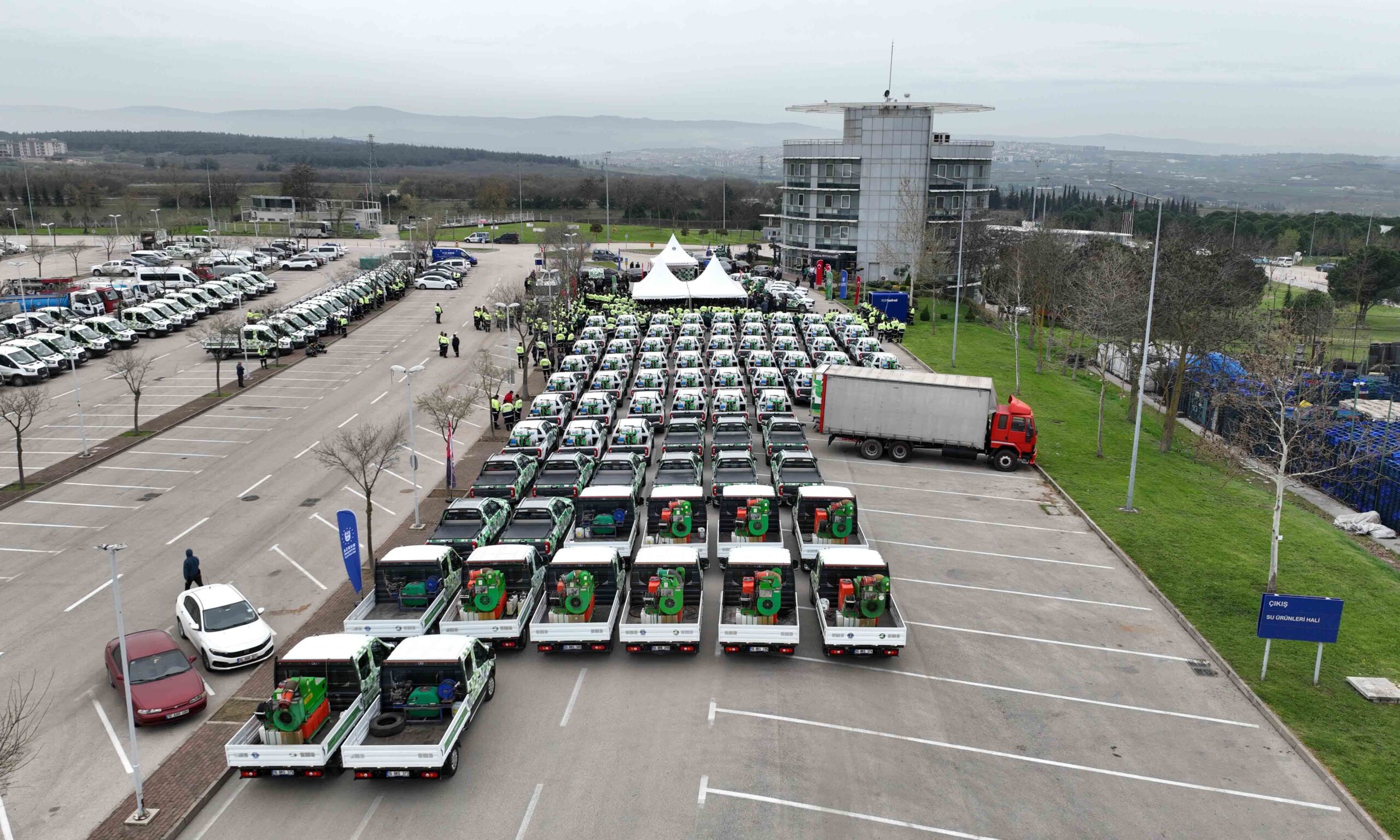 35379 M T Y3 Z T Nj Nz 1