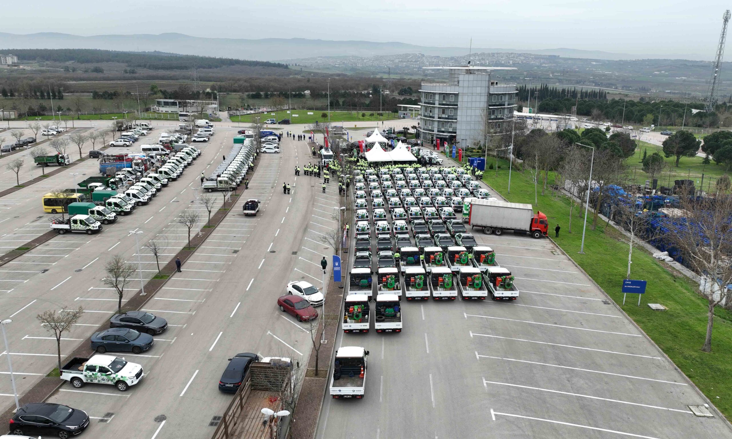 35379 M T Y3 Z T Nj Nz 2