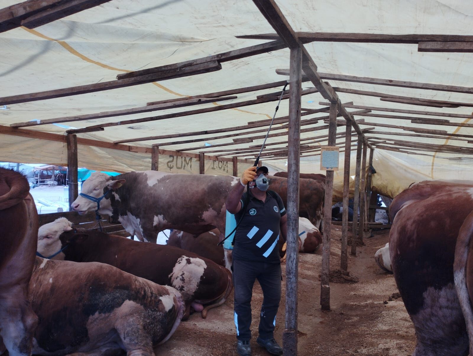 35650 M T Y4 Mzgz Zj 6