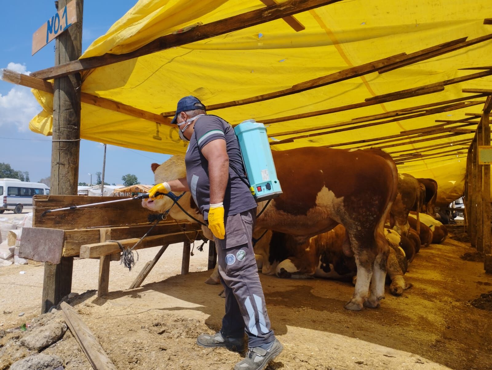 35650 M T Y4 Mzgz Zj 7