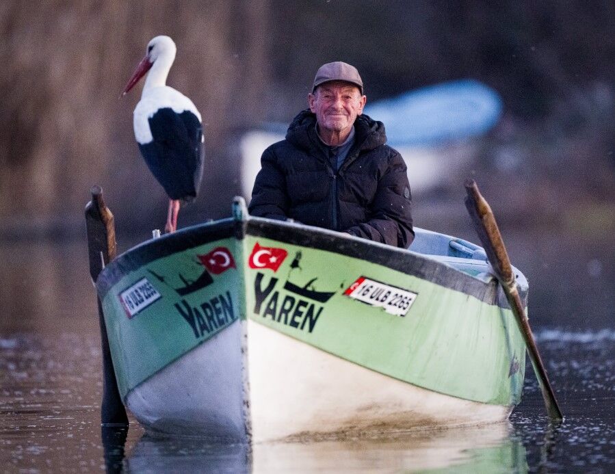 35653 M T Y4 Mzk2 O D 1-1