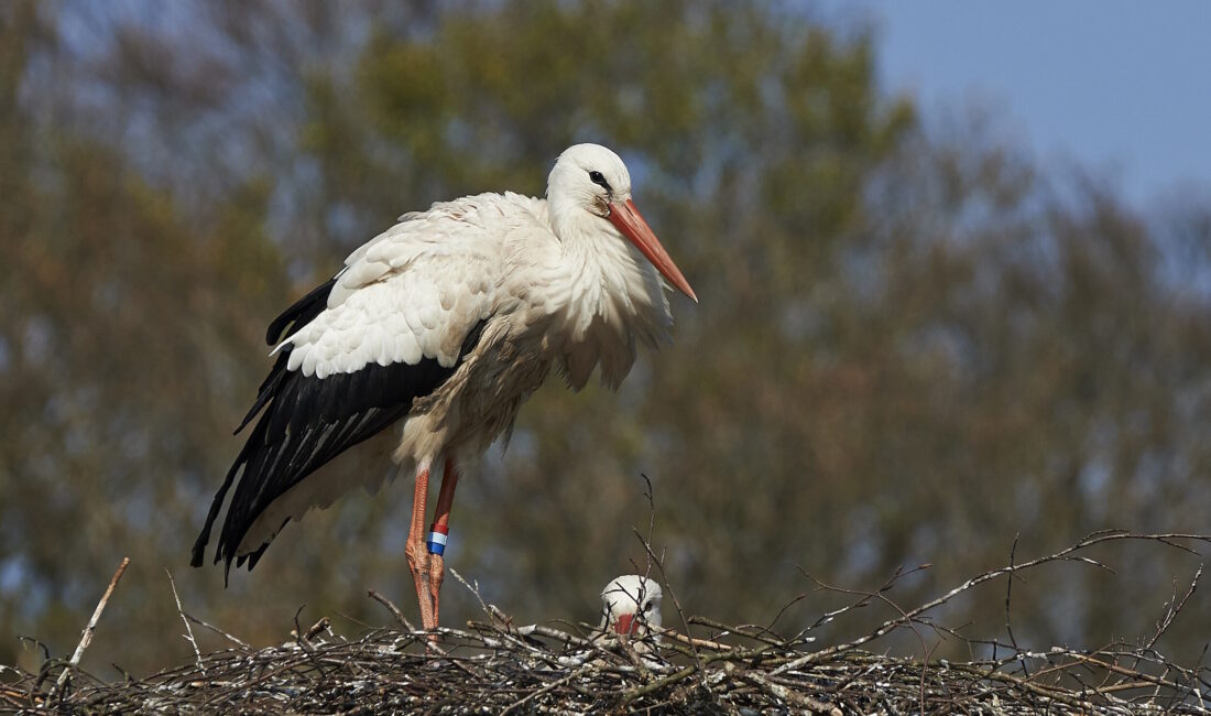 Bursa Büyükşehir Belediyesi ve Bursa Kent Konseyi öncülüğünde düzenlenen ‘Bursa