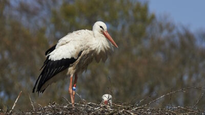 Bursa Büyükşehir Belediyesi ve Bursa Kent Konseyi öncülüğünde düzenlenen ‘Bursa