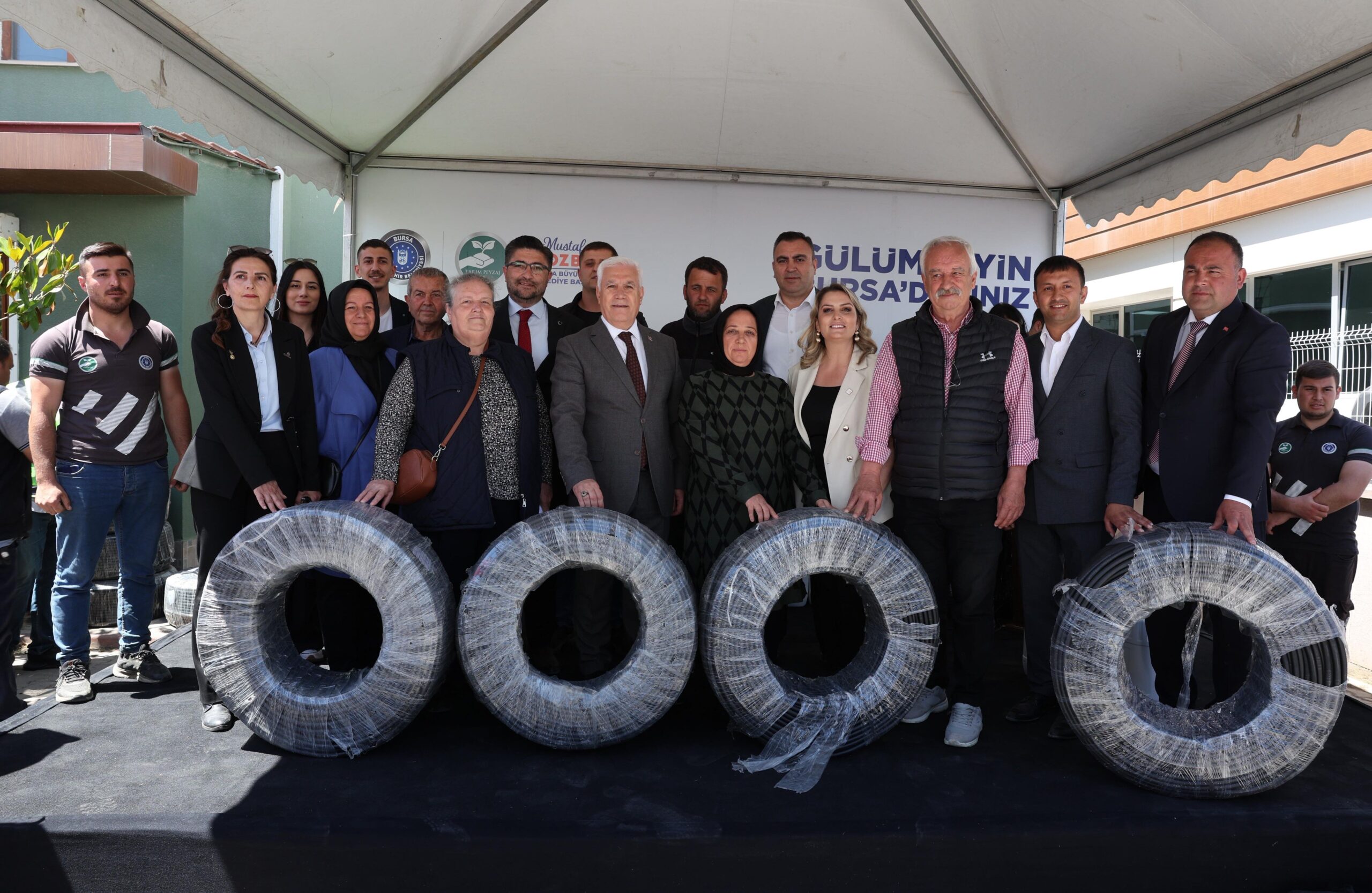 35667 M T Y4 M2 Q4 Mz 1