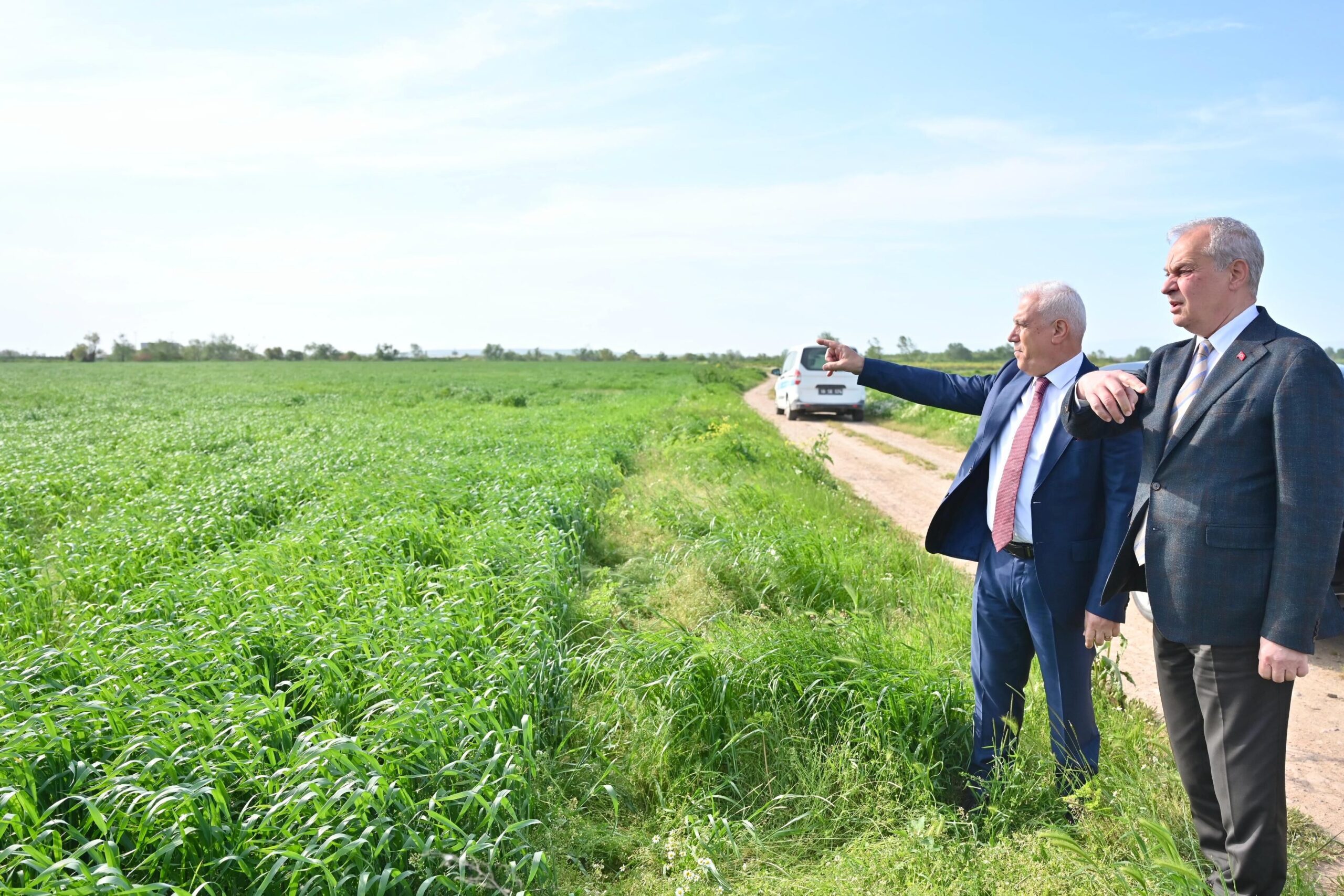 35667 M T Y4 M2 Q4 Nz 1