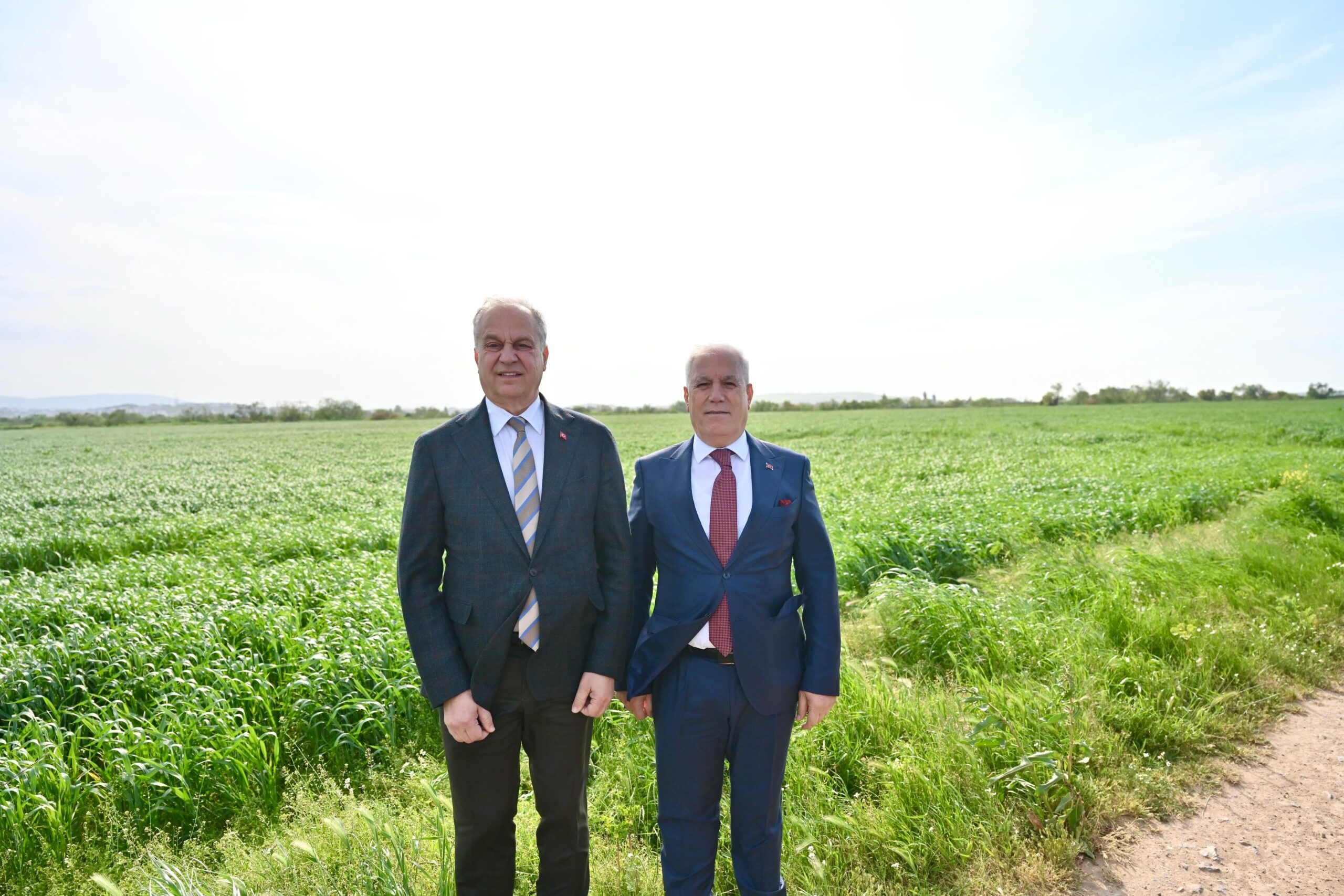 35667 M T Y4 M2 Q4 Nz 3