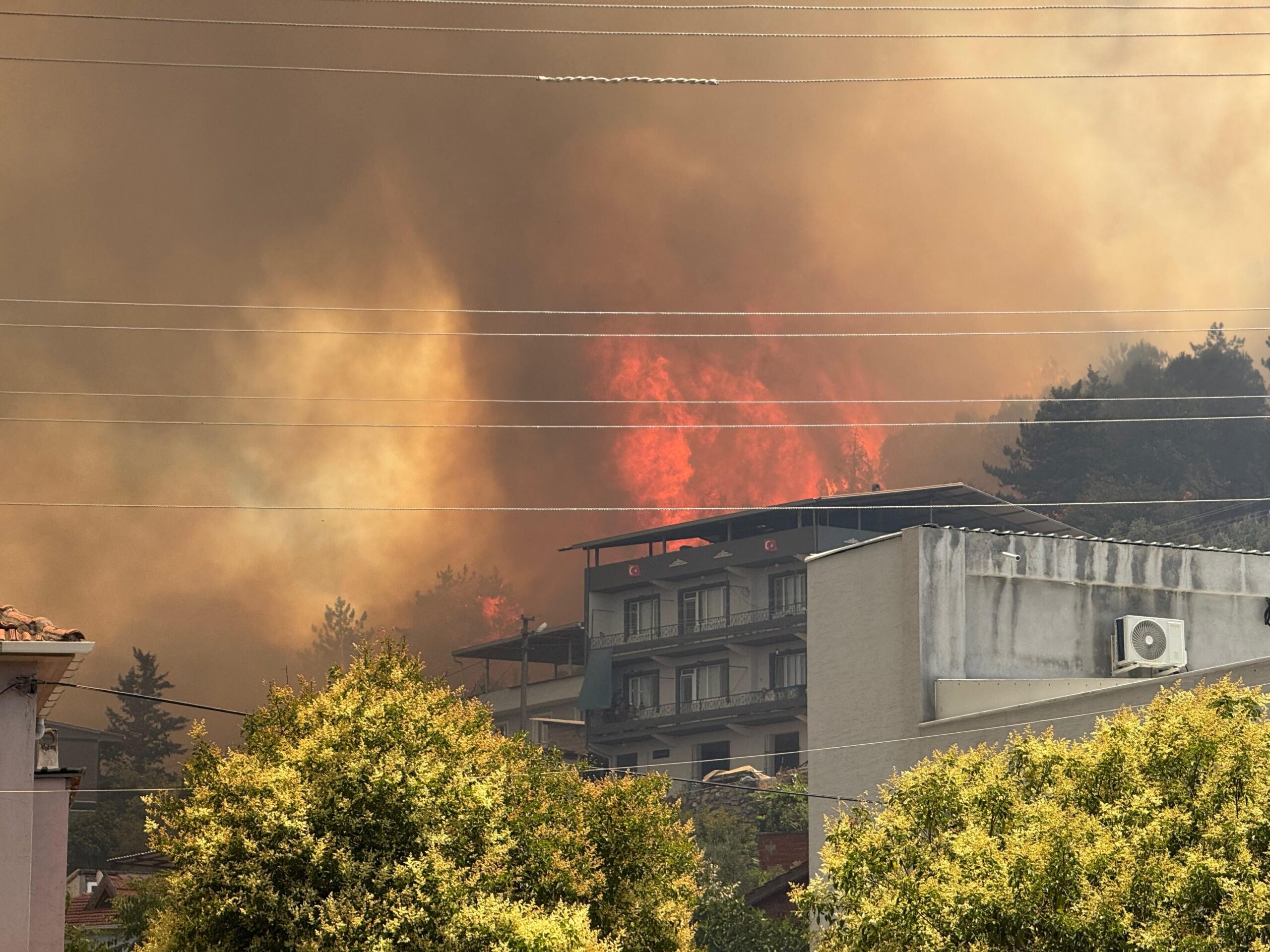 35760 M T Y4 N W U4 Yz 1