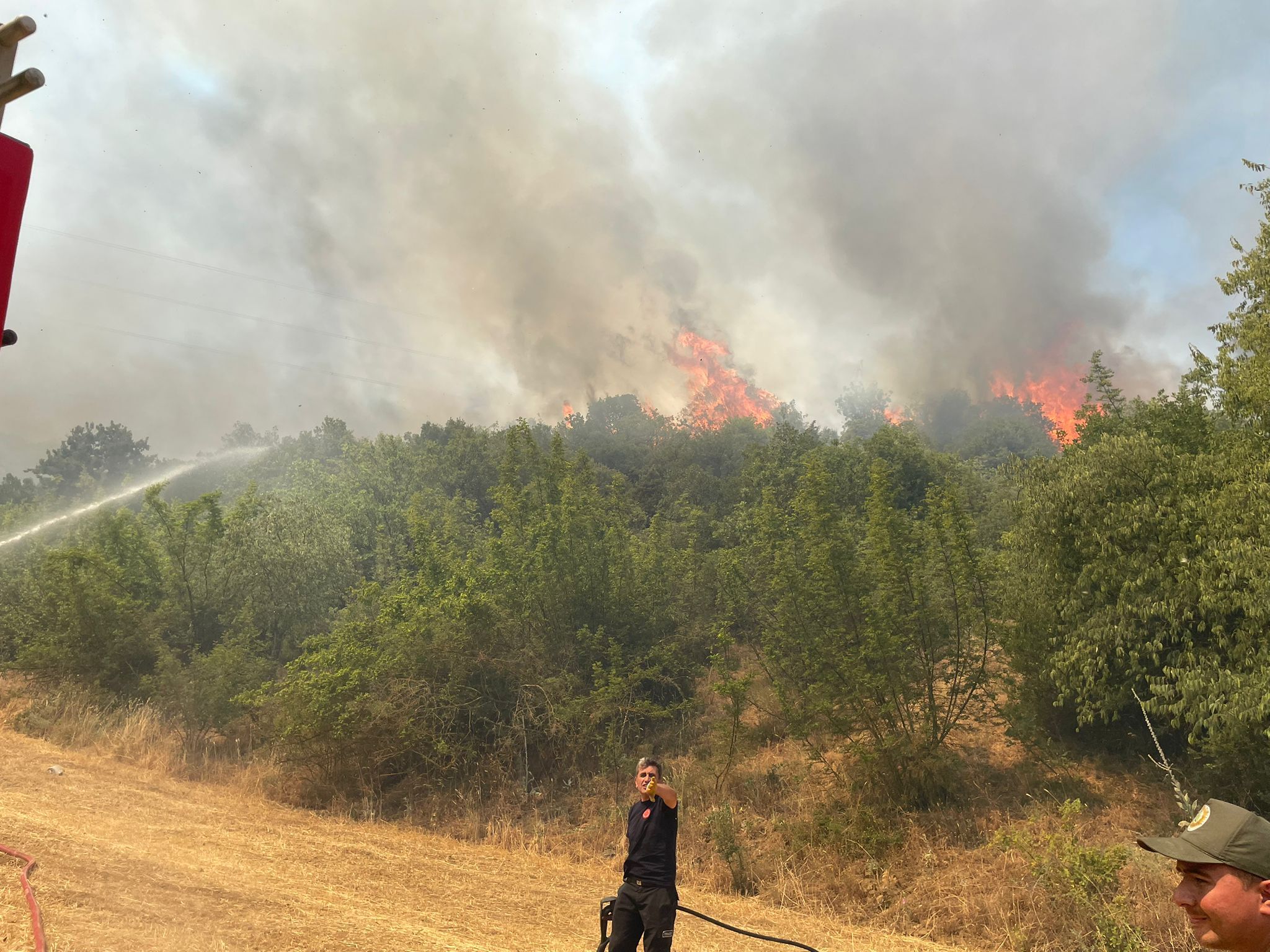 35788 M T Y4 Nj Ux Zj 7