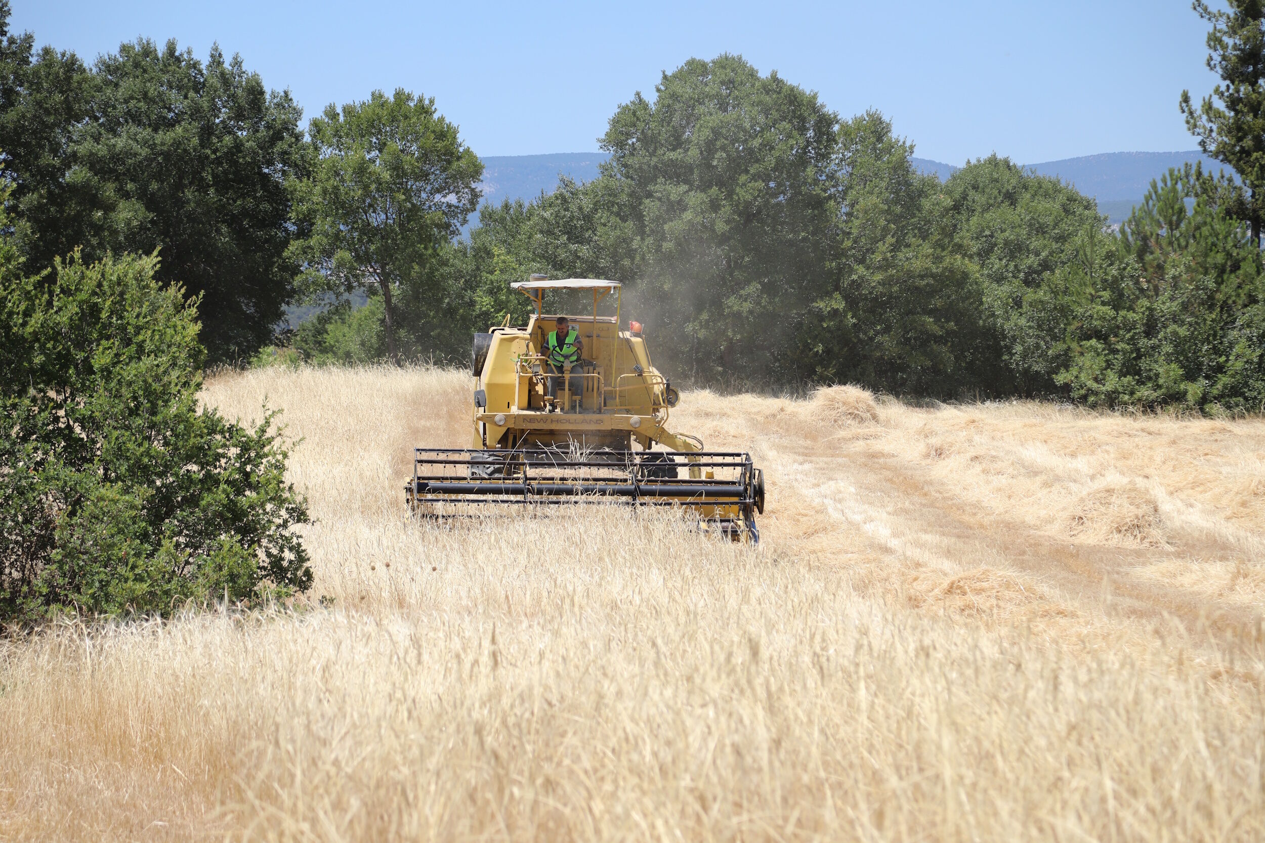 35866 M T Y4 O D Bk Mm 1