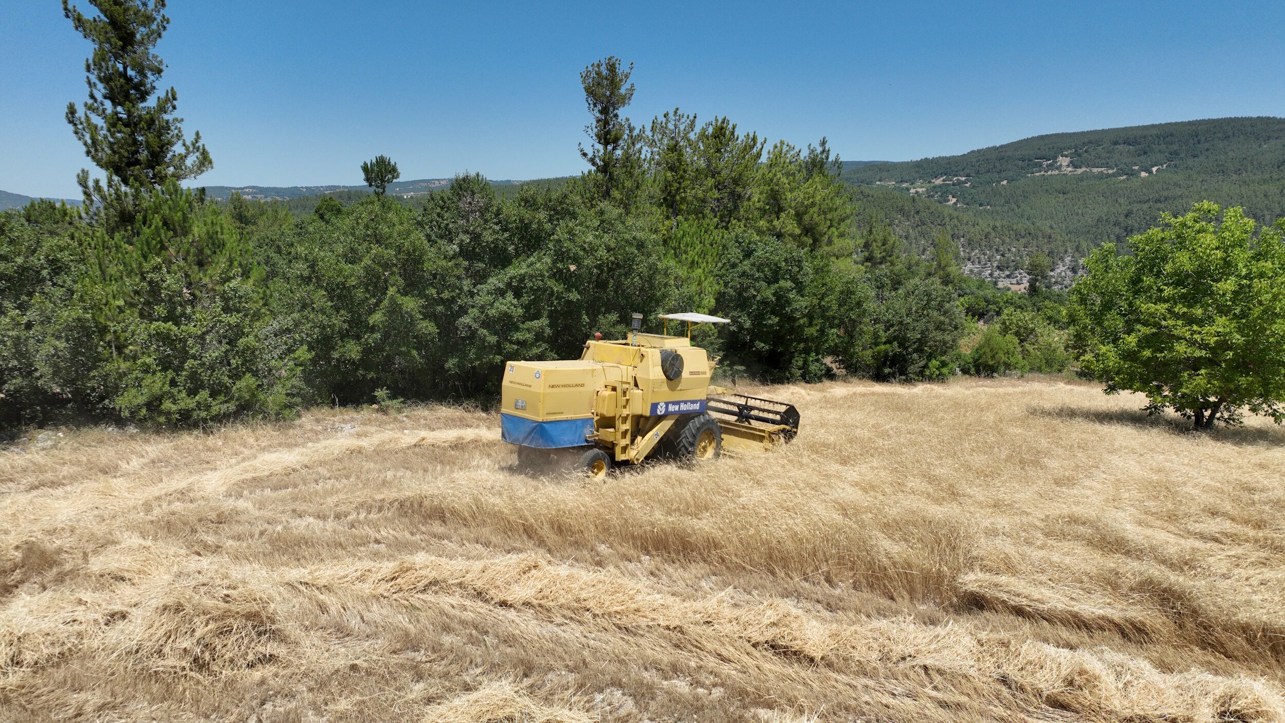 35866 M T Y4 O D Bk Mm 2