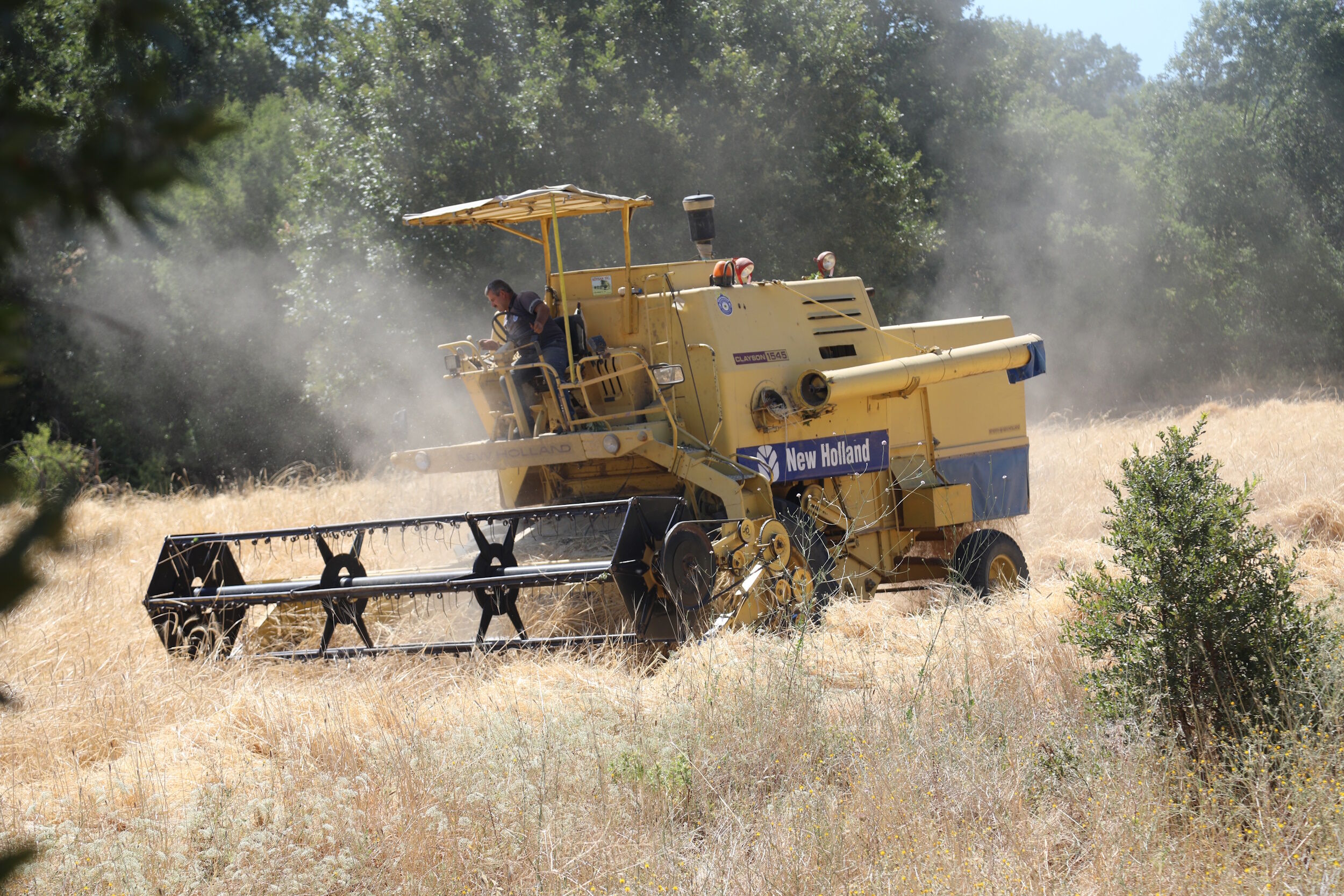 35866 M T Y4 O D Bk Mm 3