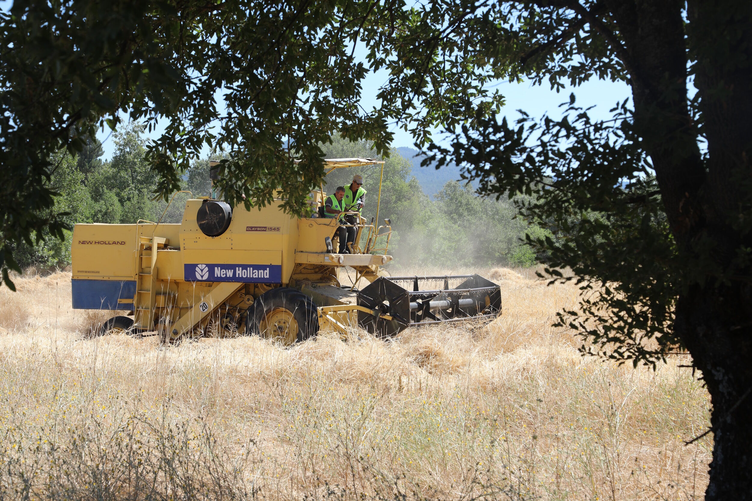 35866 M T Y4 O D Bk Mm 4