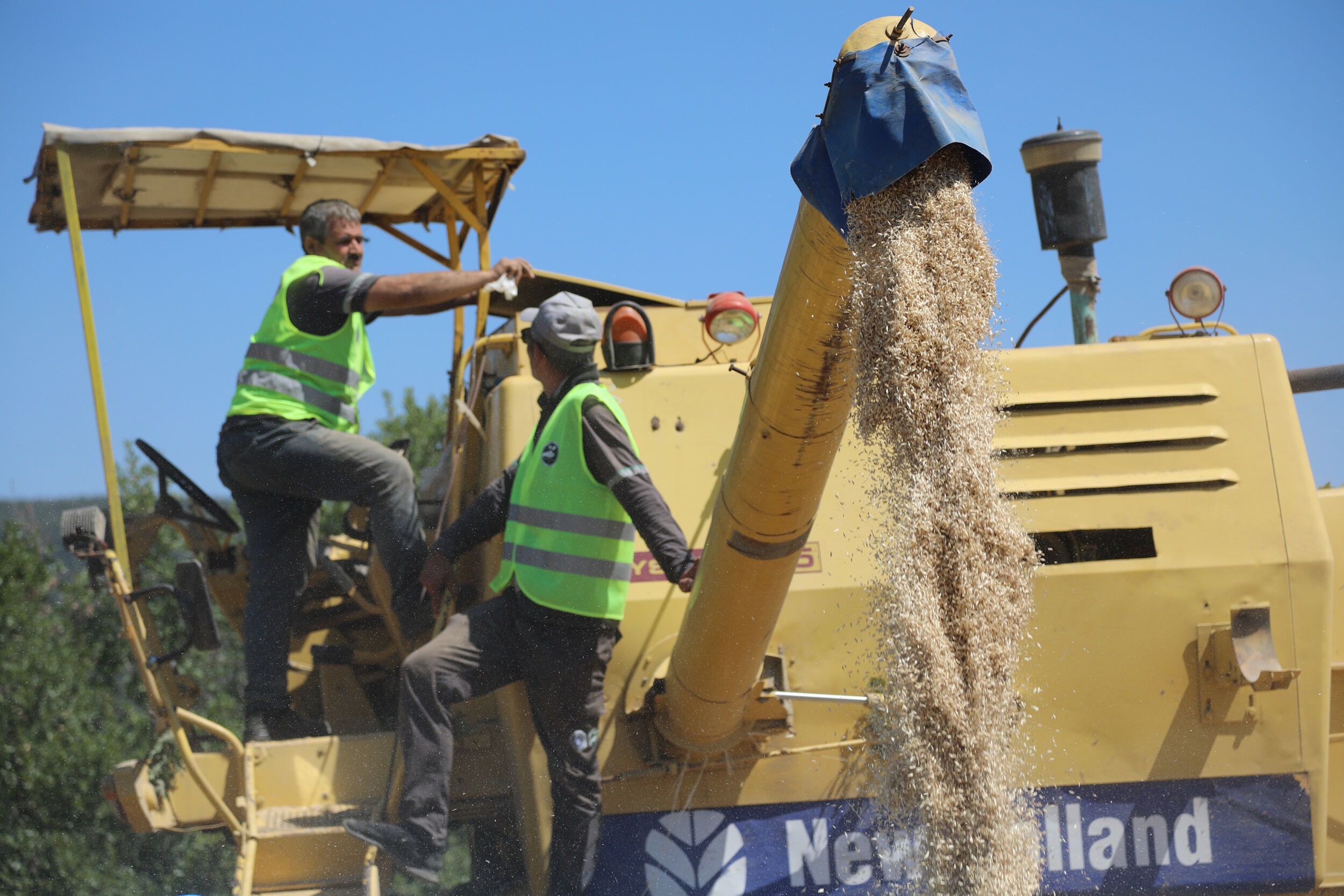 35866 M T Y4 O D Bk Mm 5