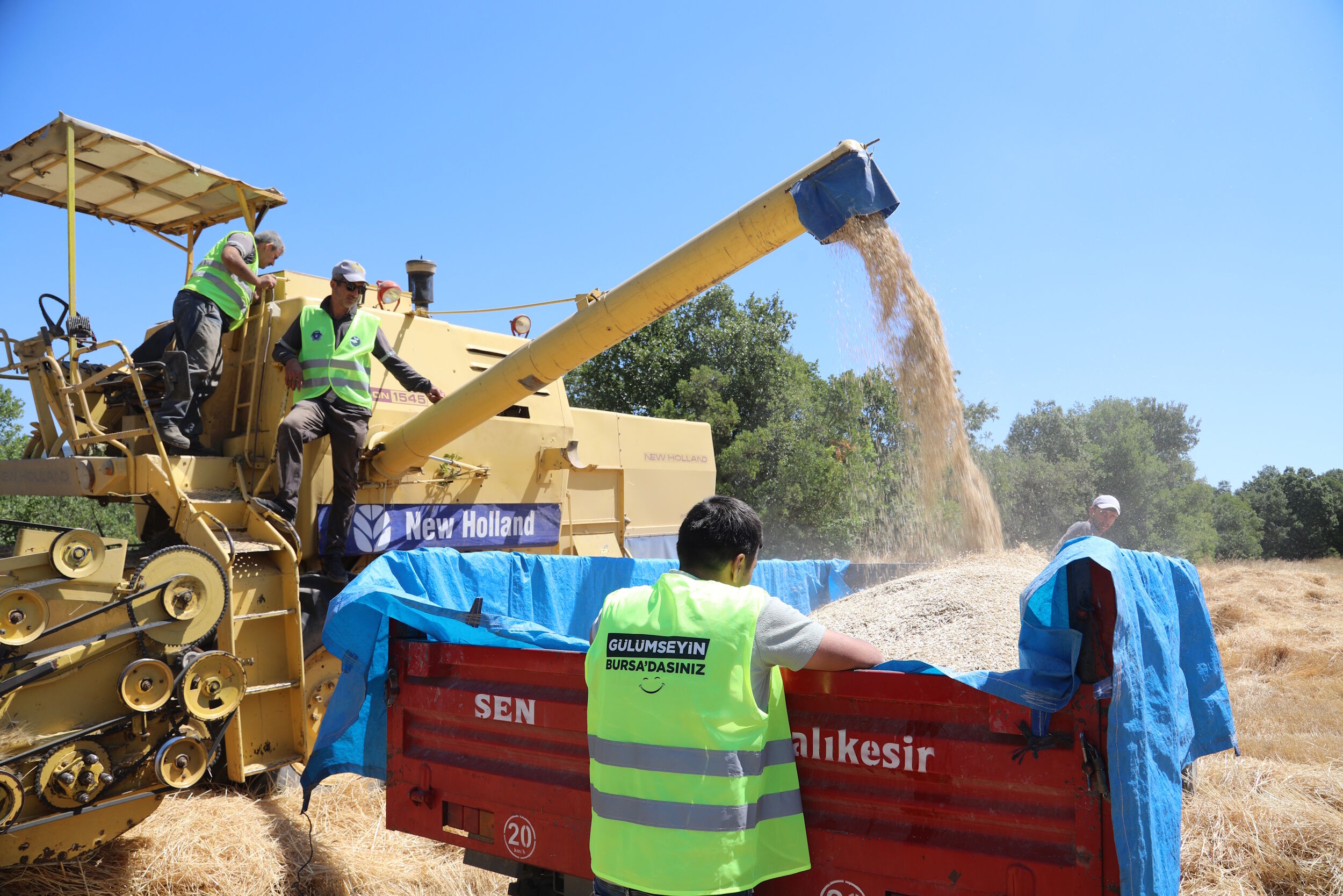 35866 M T Y4 O D Bk Mm 6