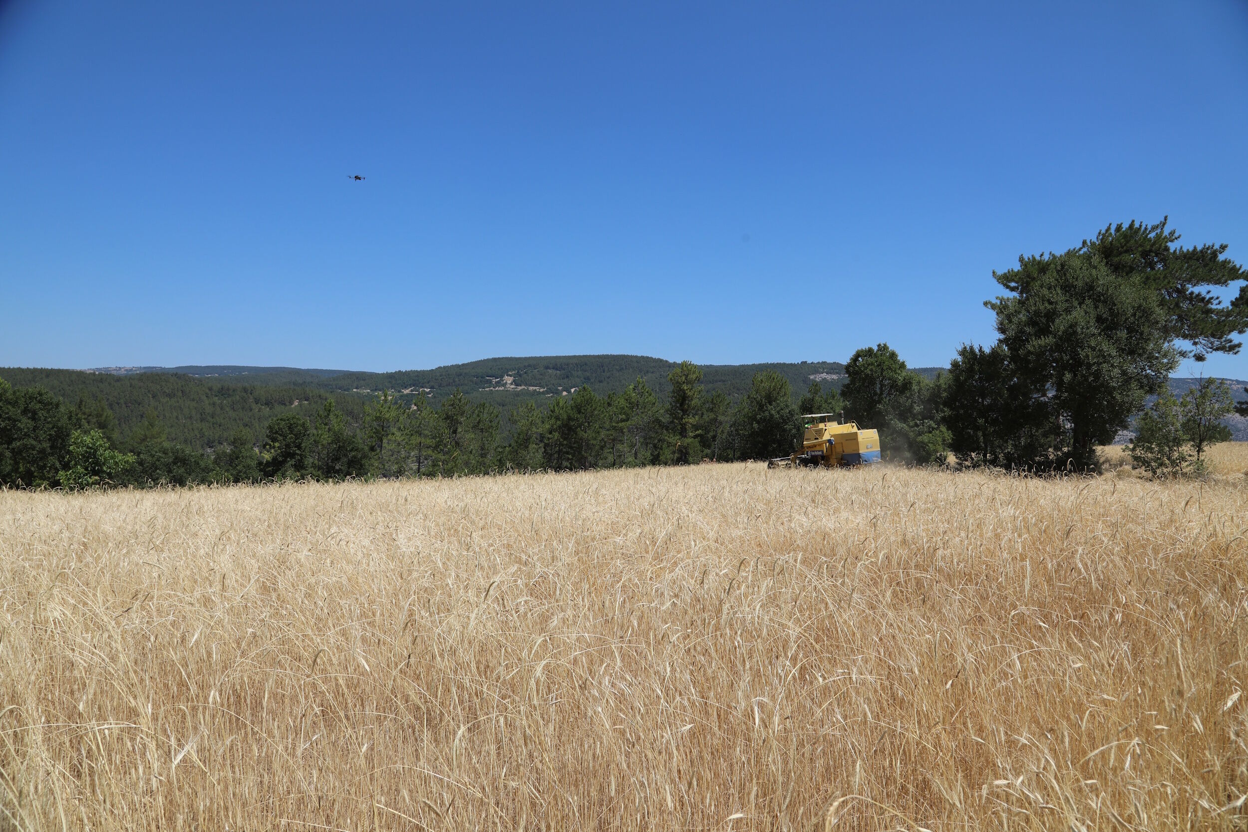 35866 M T Y4 O D Bk Mm