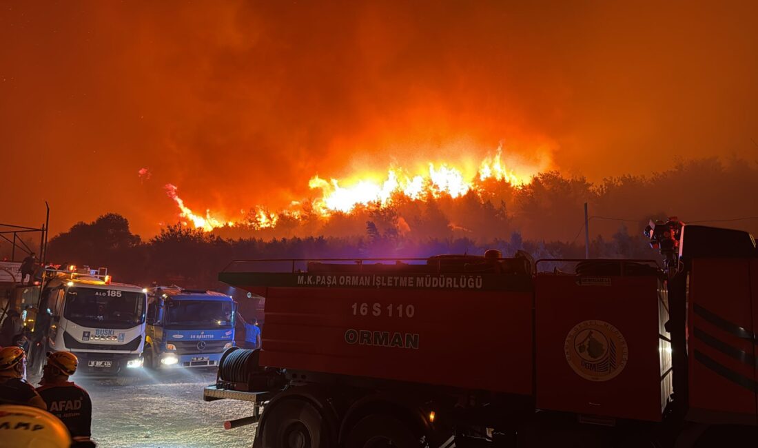 Mustafa Bozbey, Kestel ilçesinde başlayan ve Gürsu ilçesine ulaşan yangının
