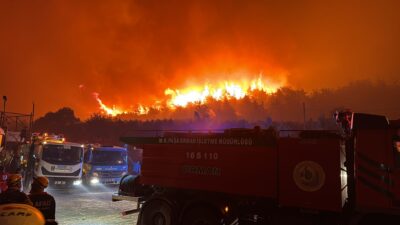 Mustafa Bozbey, Kestel ilçesinde başlayan ve Gürsu ilçesine ulaşan yangının