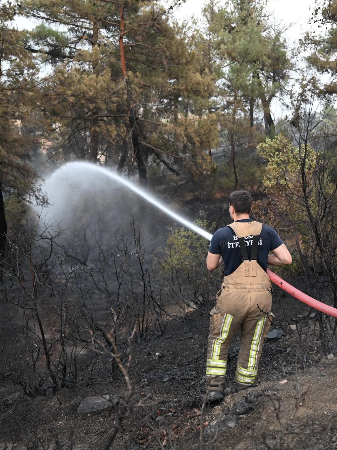 35875 M T Y4 O D Vi Z G 1