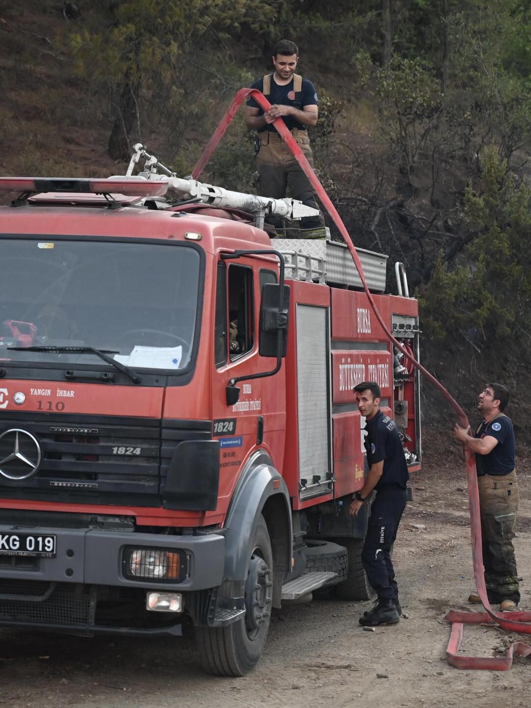 35875 M T Y4 O D Vi Z G