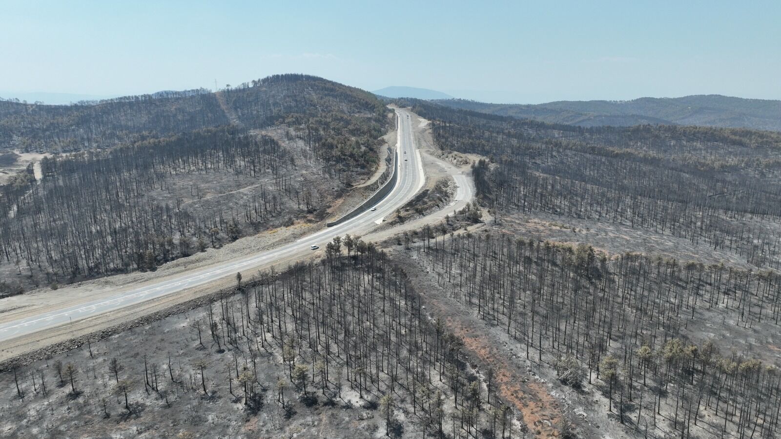 35889 M T Y4 O G Ey M T 1