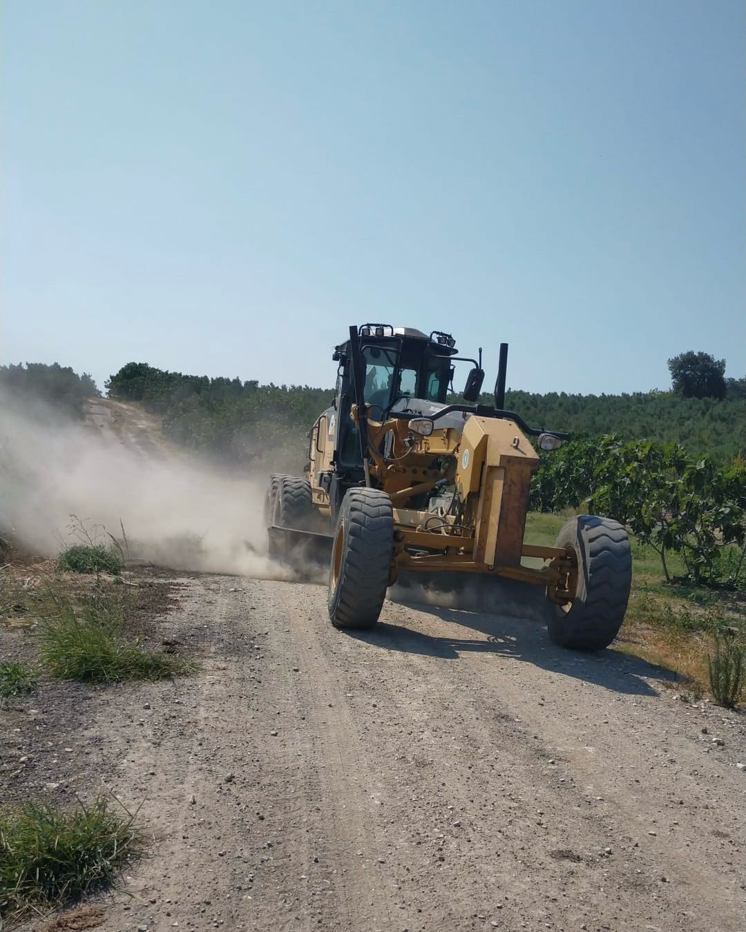 35902 M T Y4 O T A5 Z D 6