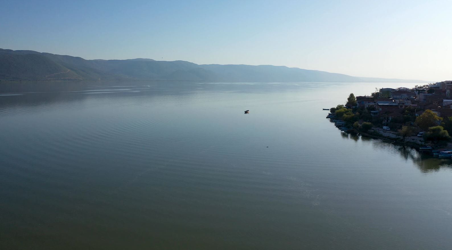 35942 M T Y4 O W Vm Z G 1