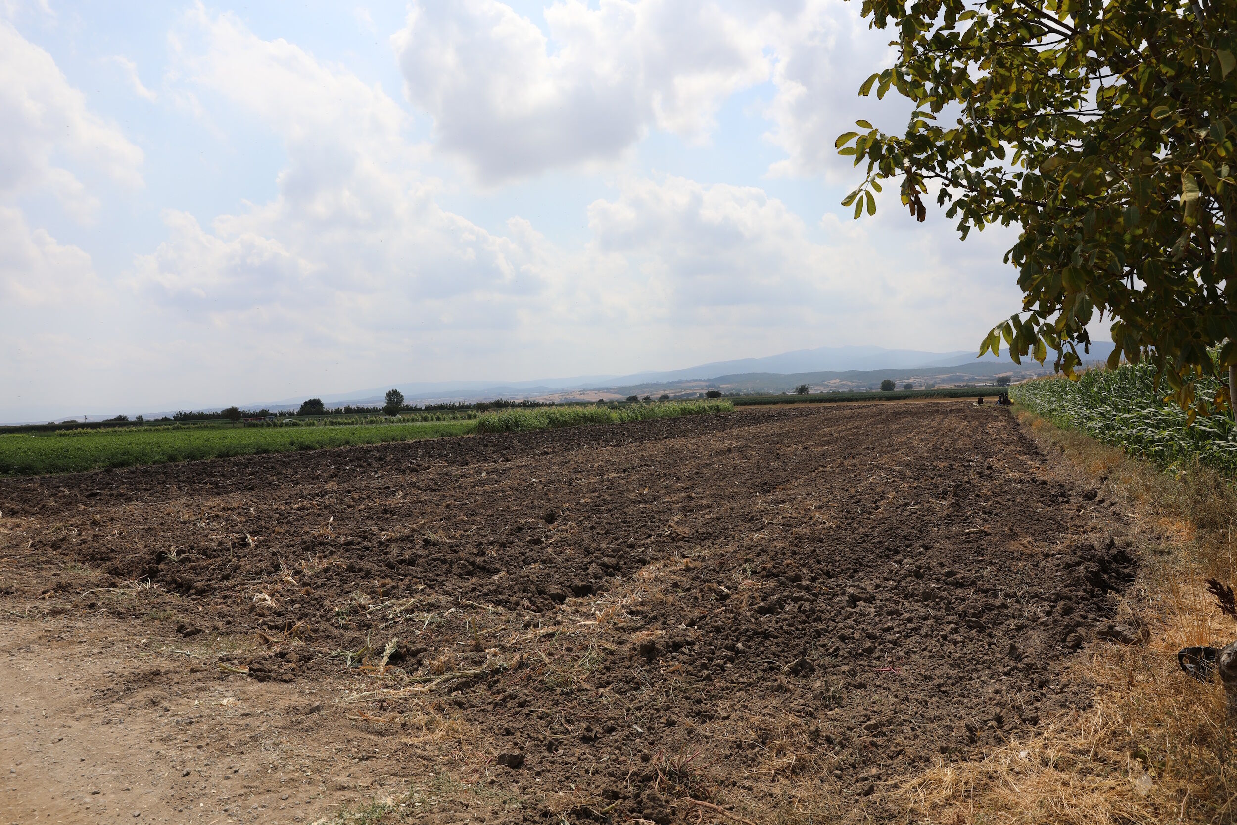 35990 M T Y4 Yj Aw Ym 2-1