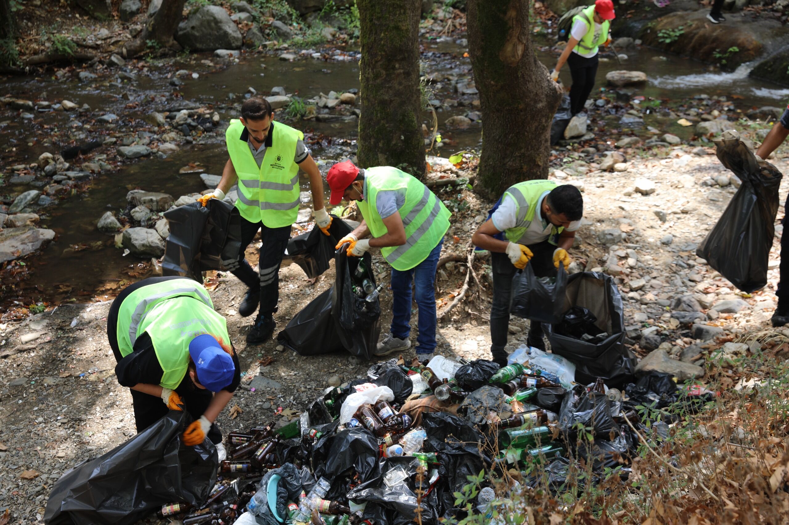 36035 M T Y4 Ym Q2 Yj 2