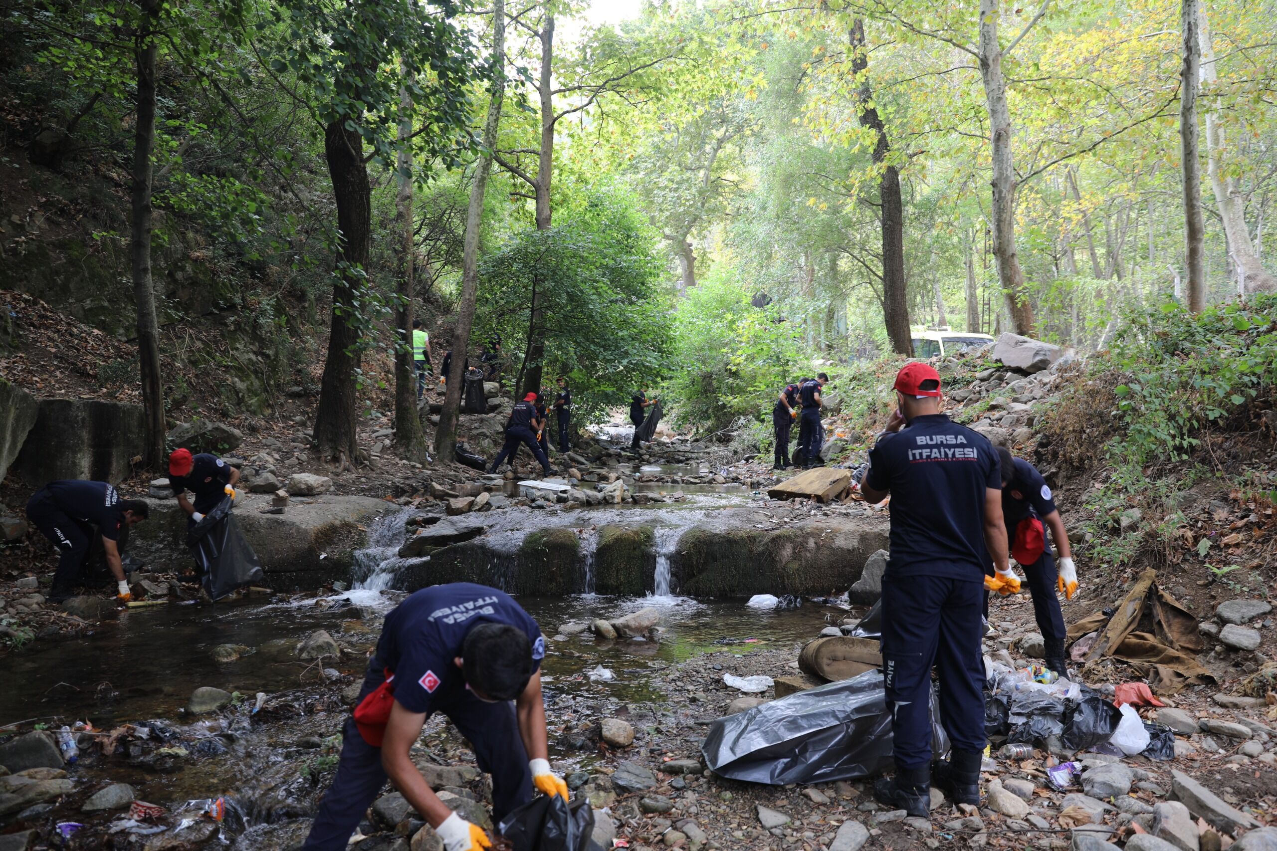 36035 M T Y4 Ym Q2 Yj 3