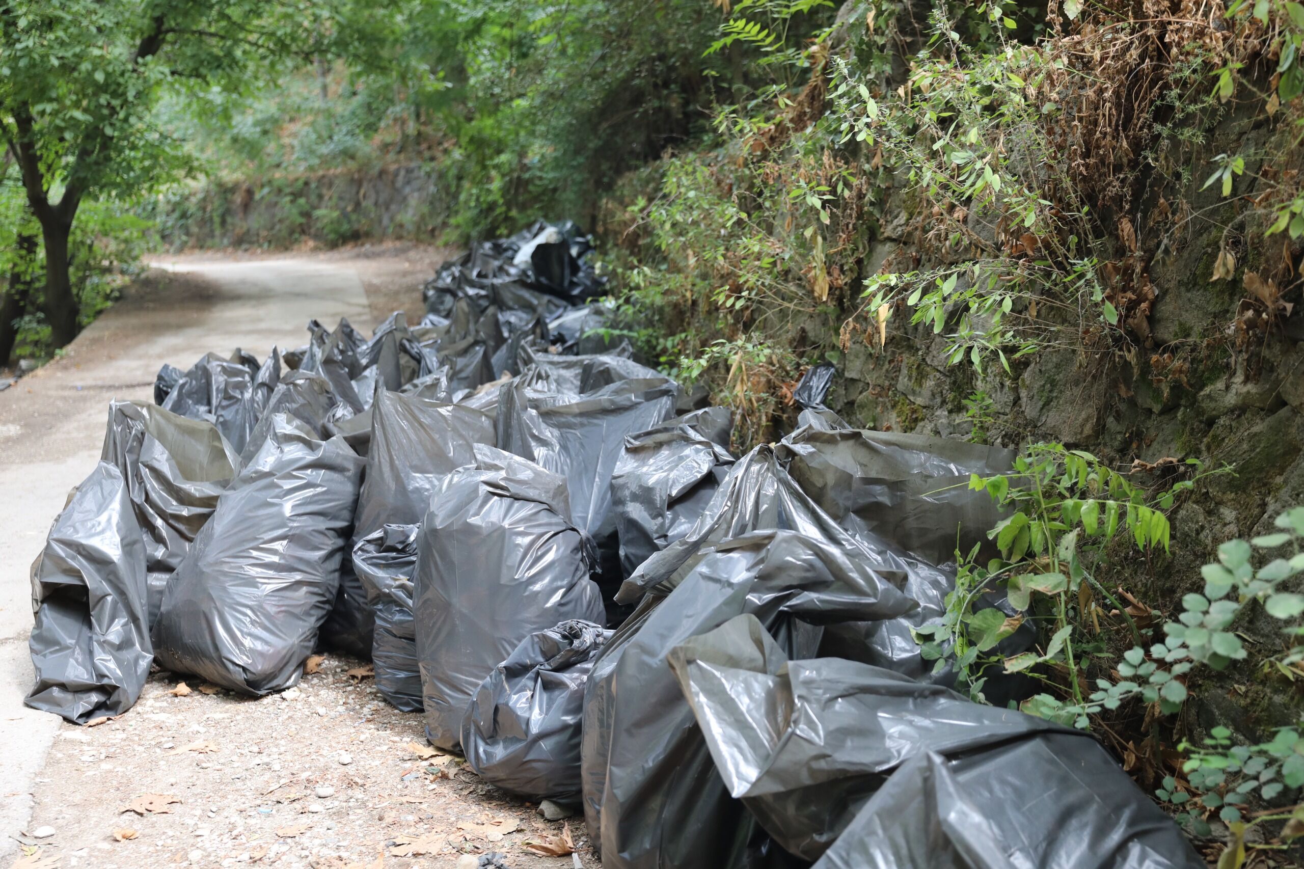 36035 M T Y4 Ym Q2 Yj 4