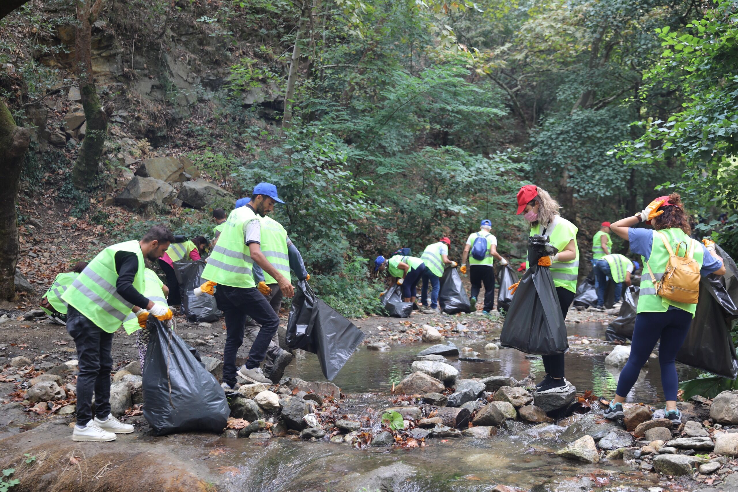 36035 M T Y4 Ym Q2 Yj