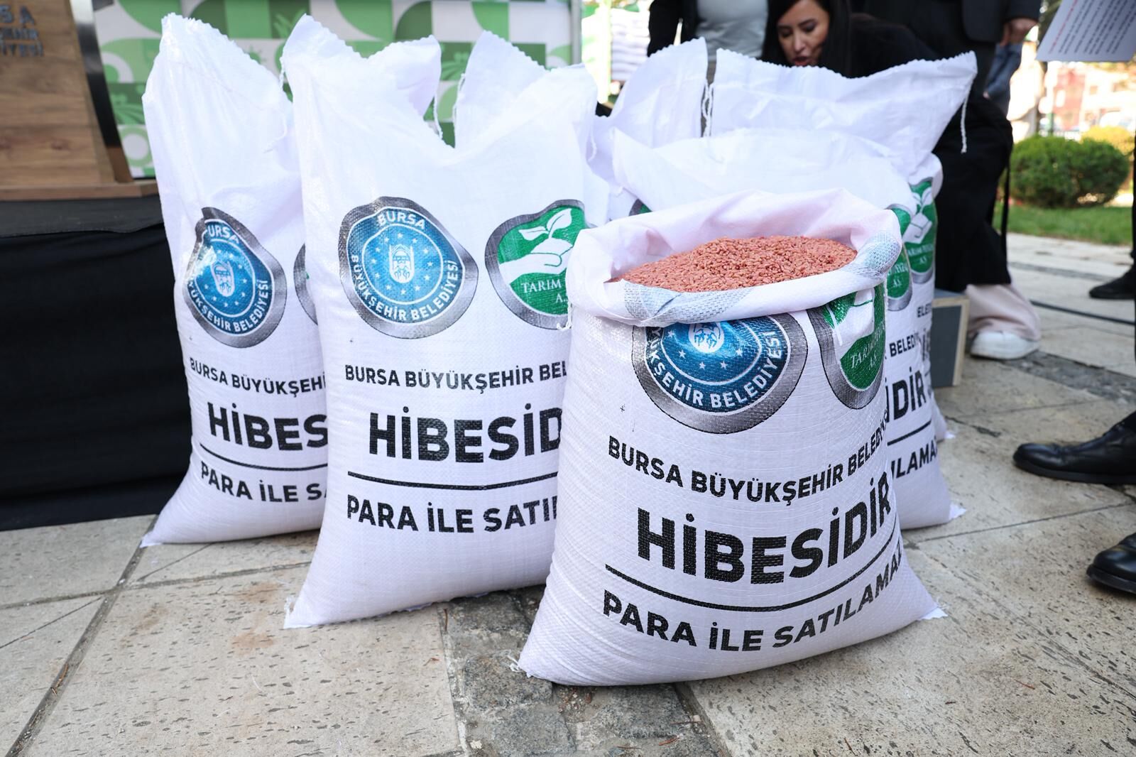 36307 M T Y5 M Dg2 Z D