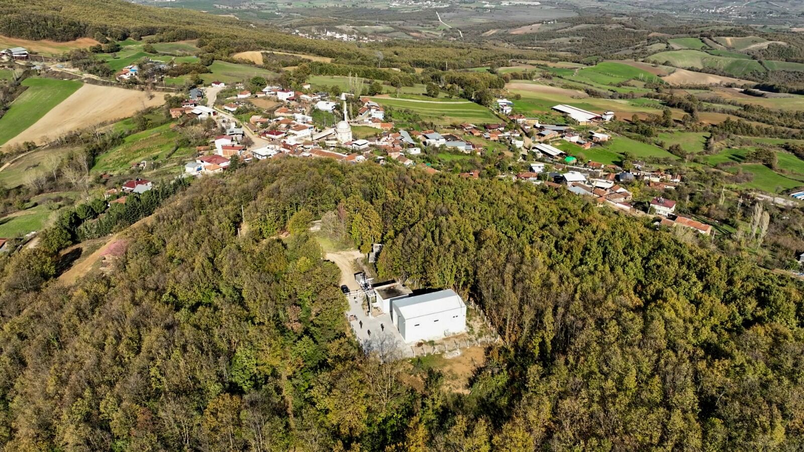 36357 M T Y5 M W M1 Y W