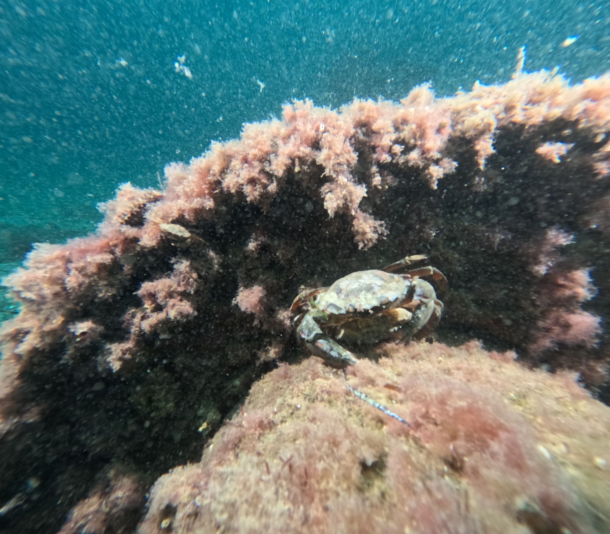 36424 M T Y5 Mm Q1 O T 1