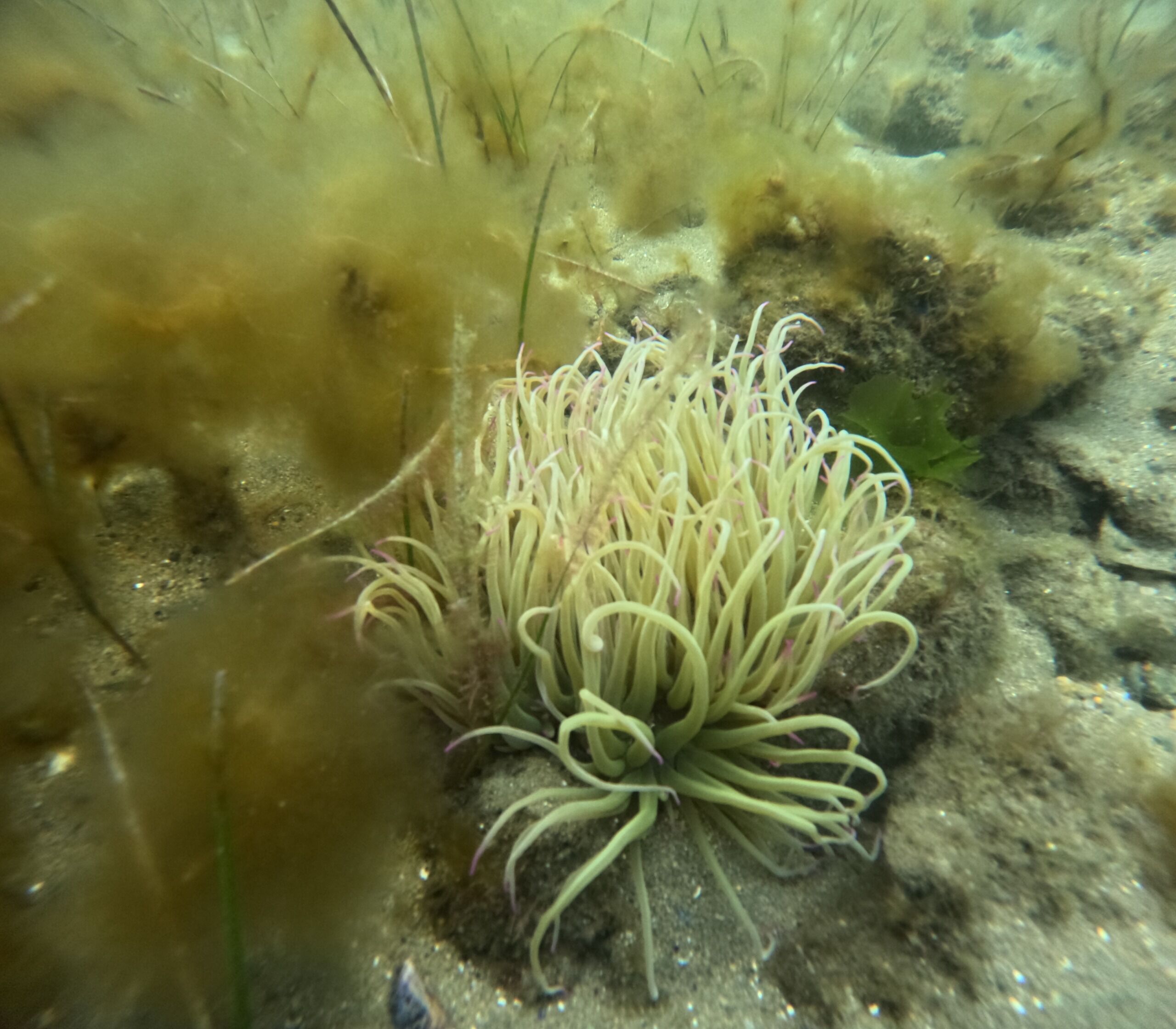 36424 M T Y5 Mm Q1 O T 13