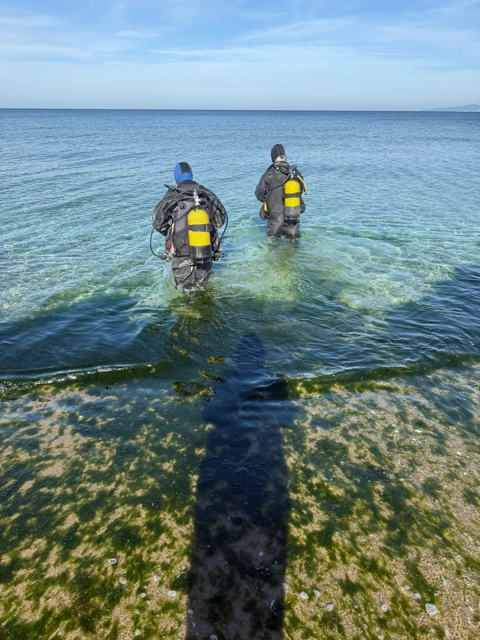 36424 M T Y5 Mm Q1 O T 17