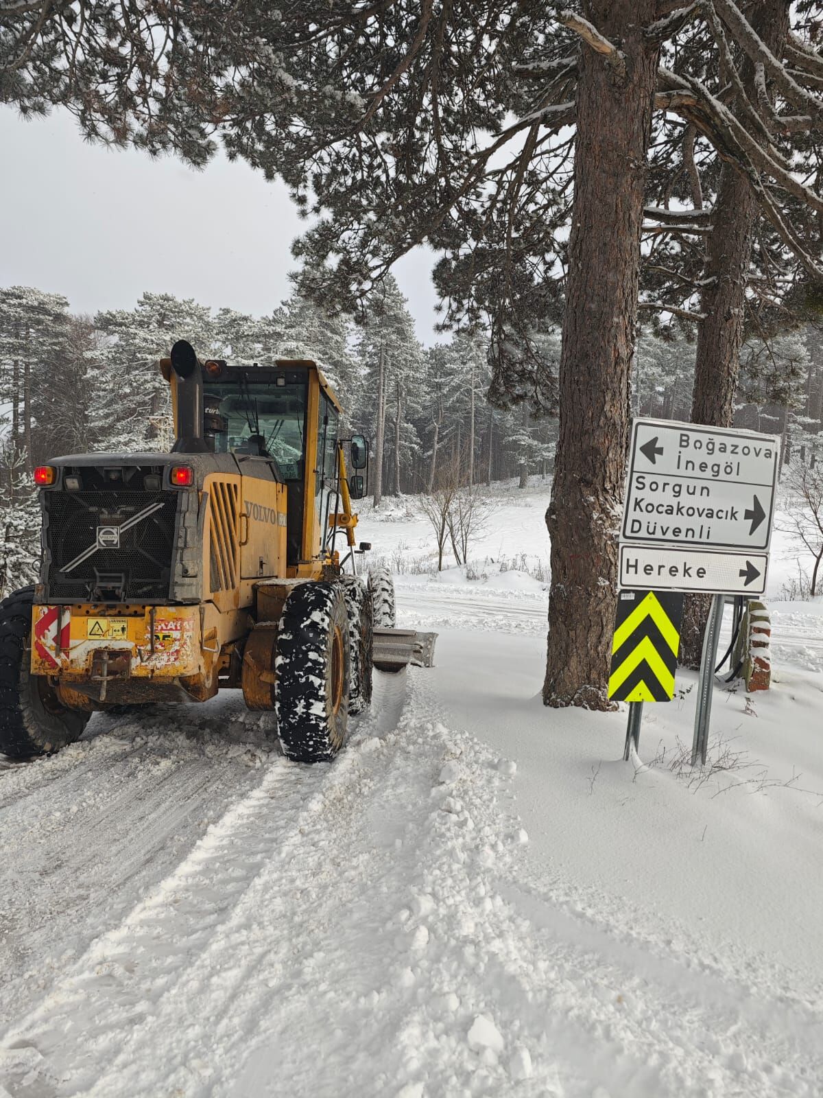 36540 M T Y5 N T Bl N2 1