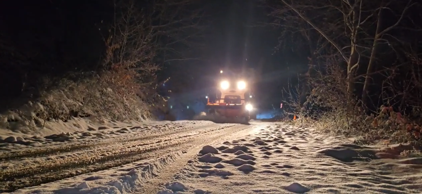 36540 M T Y5 N T Bl Nj